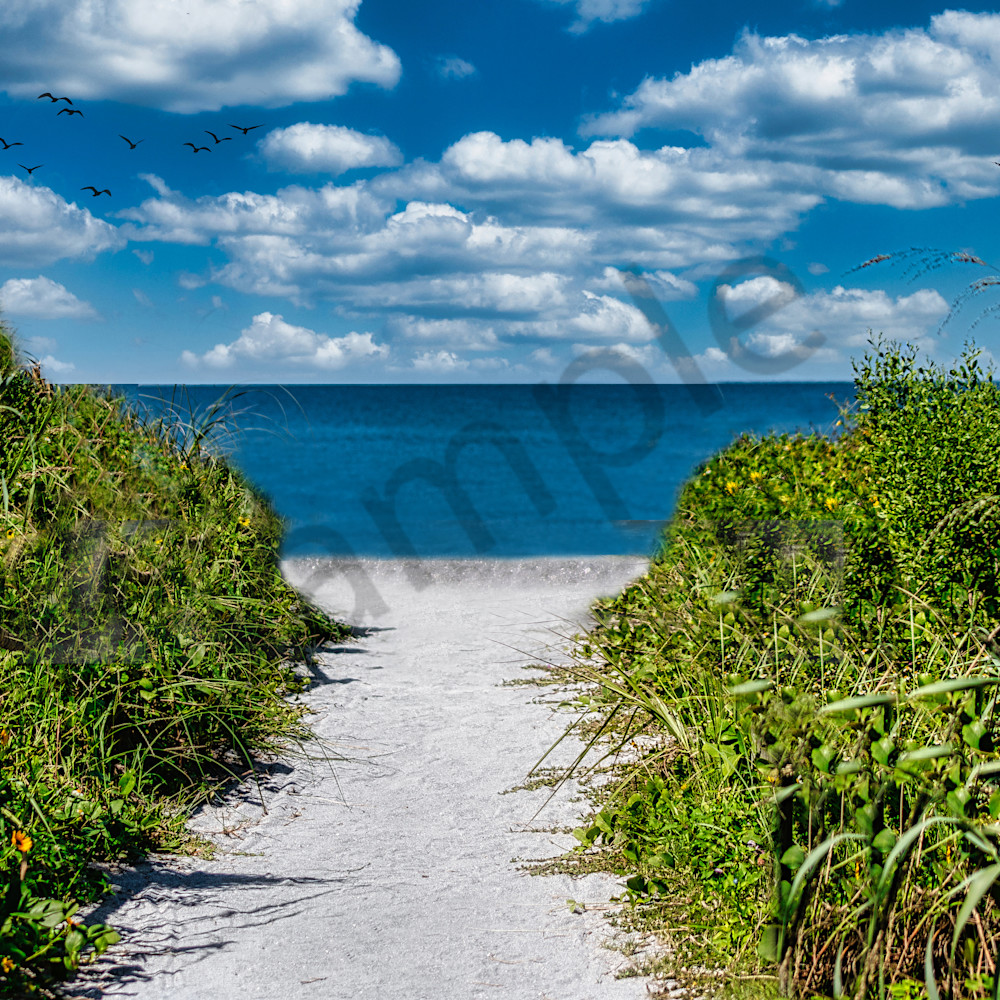 Path to beach c oflasl