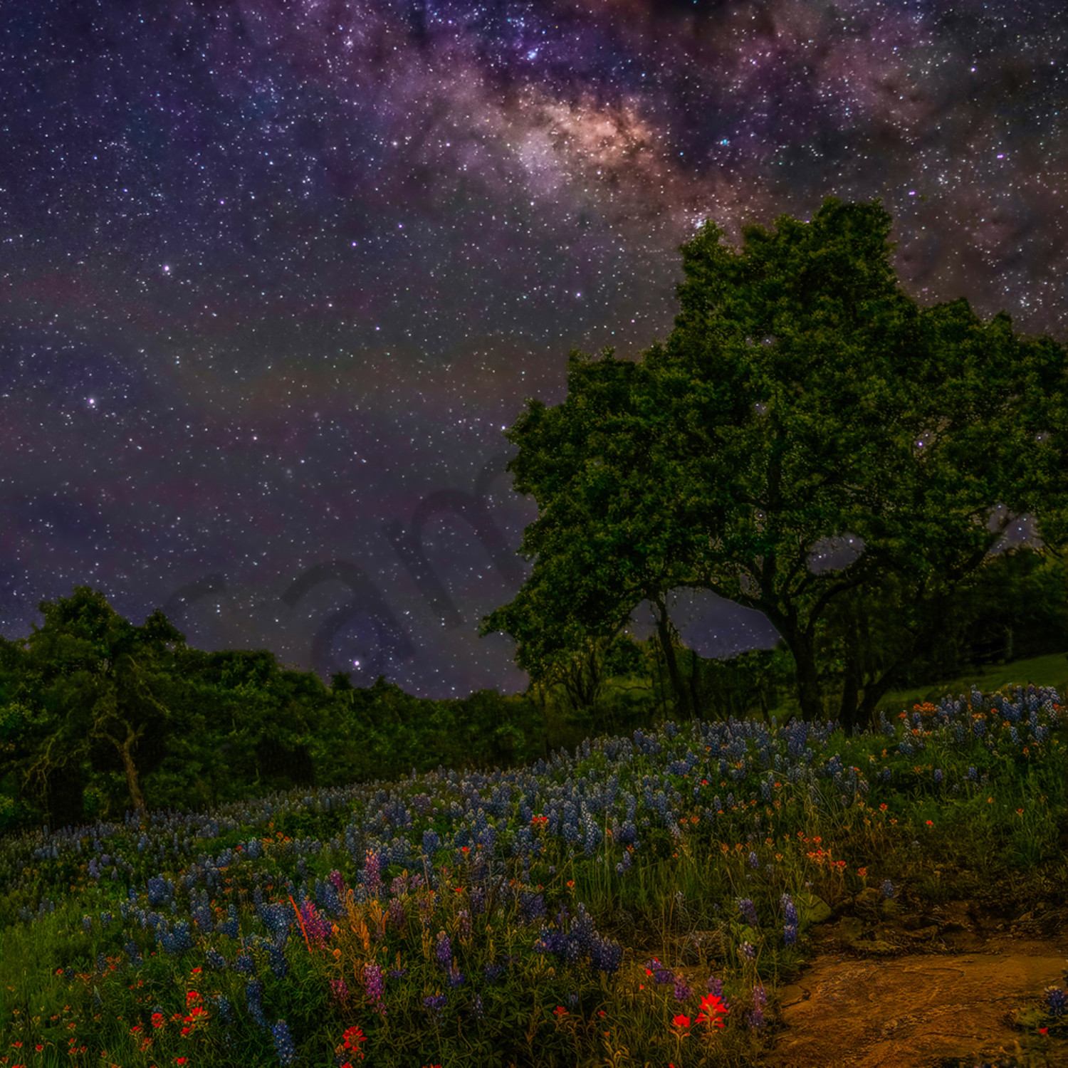 Flowers From Heaven Photography Art John Martell Photography