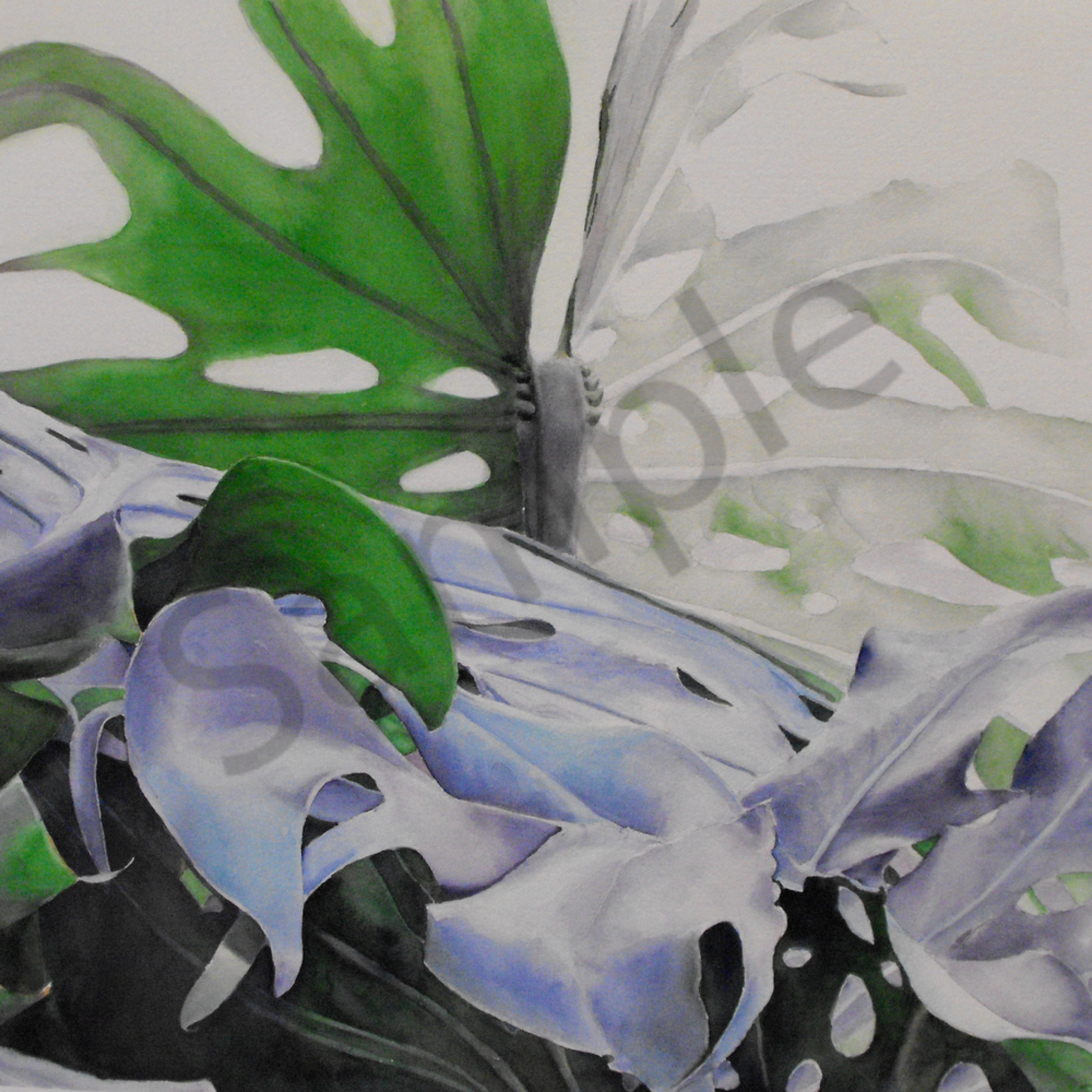 Mysterious Monstera Art For Sale