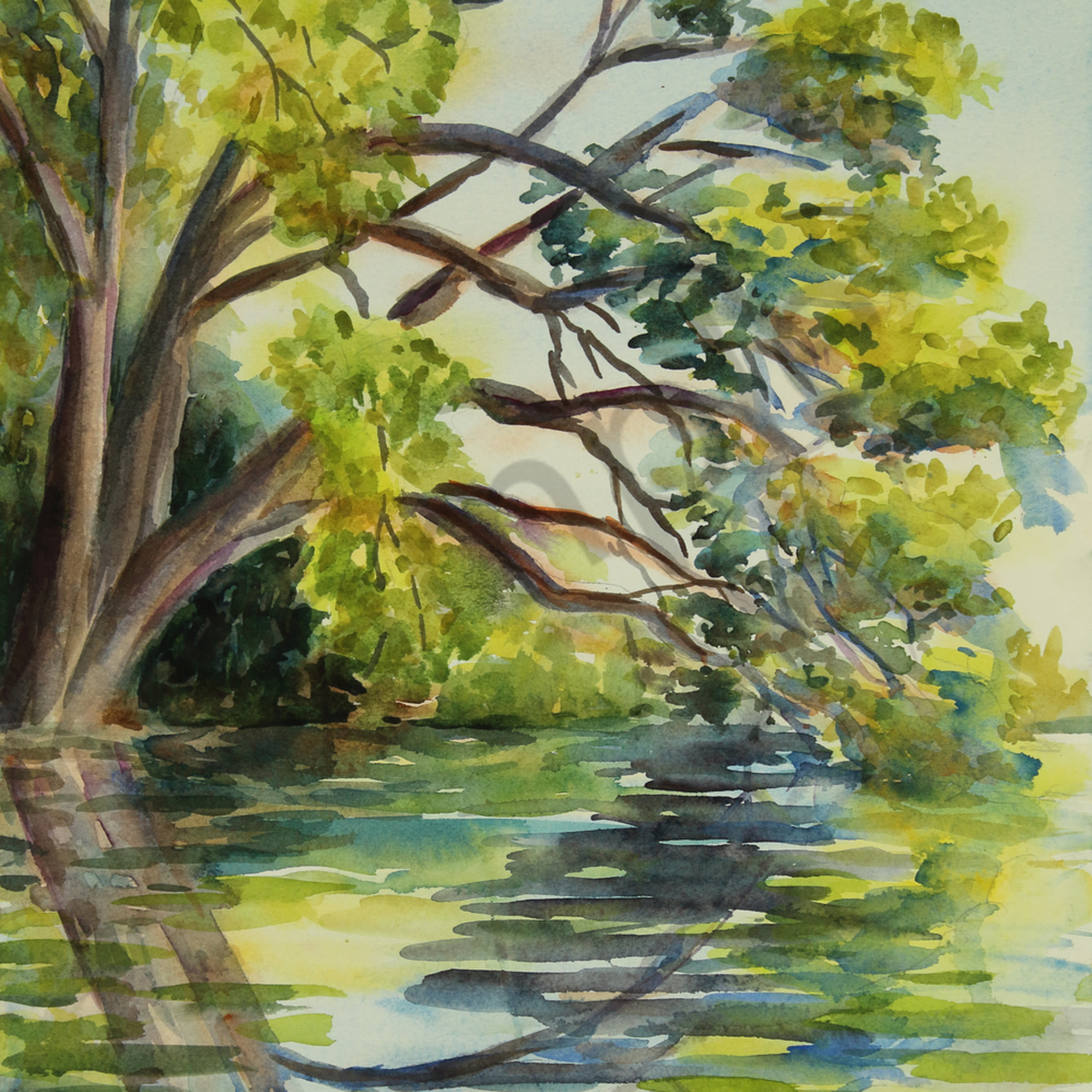 Lsu Lake Live Oak Baton Rouge Kayak Water Watercolor