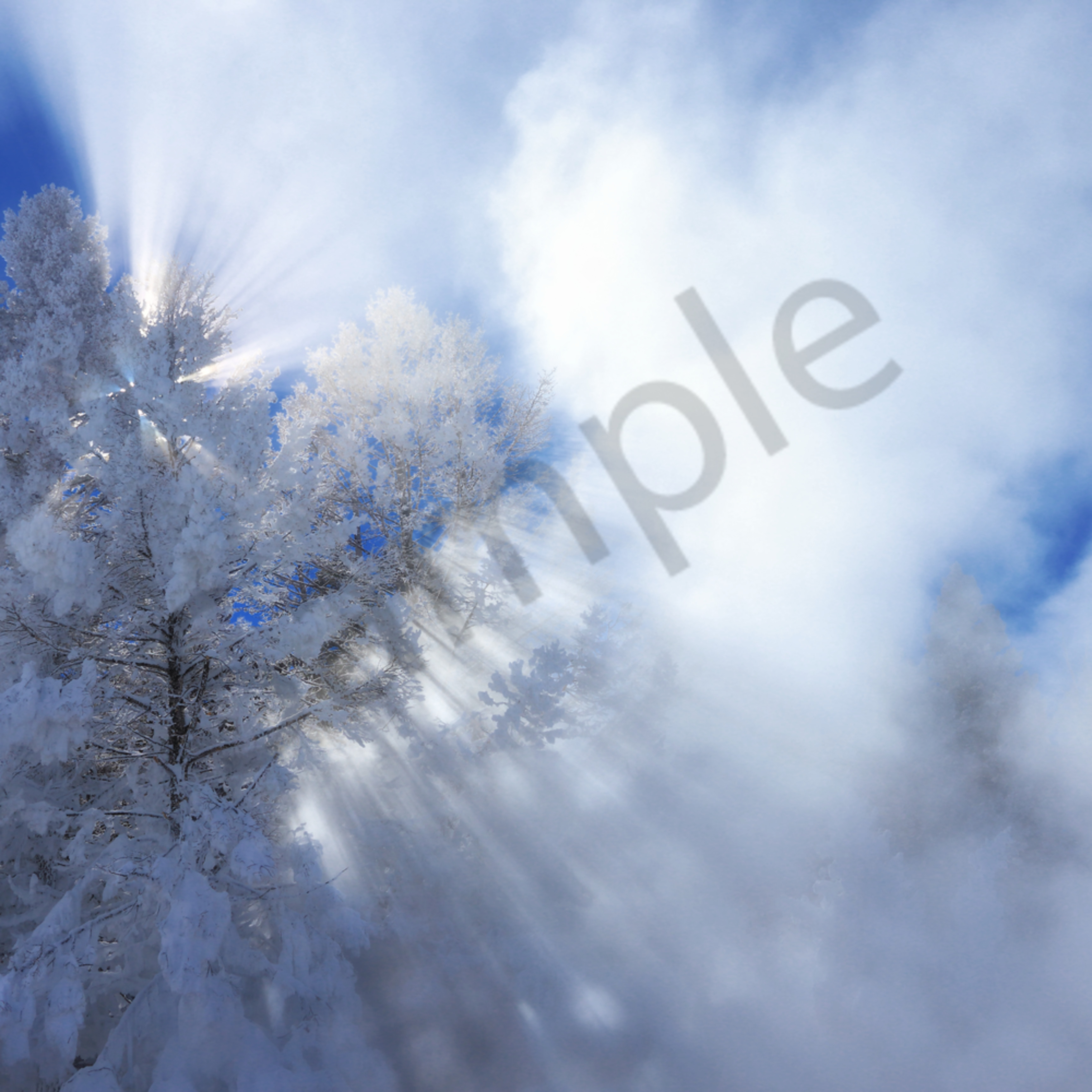 Winter Scene Robbie George Photography