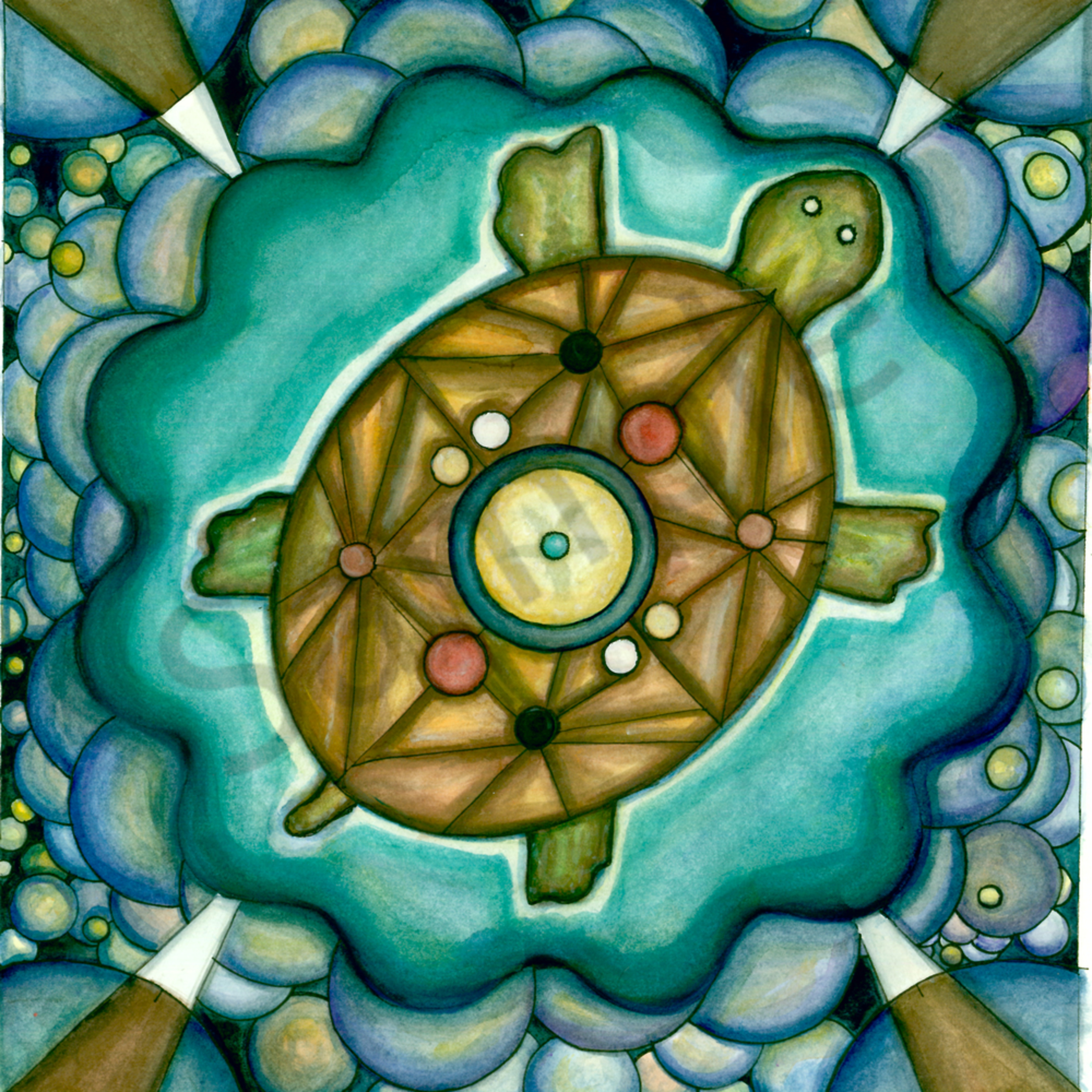 Turtle Island Art courtnihale
