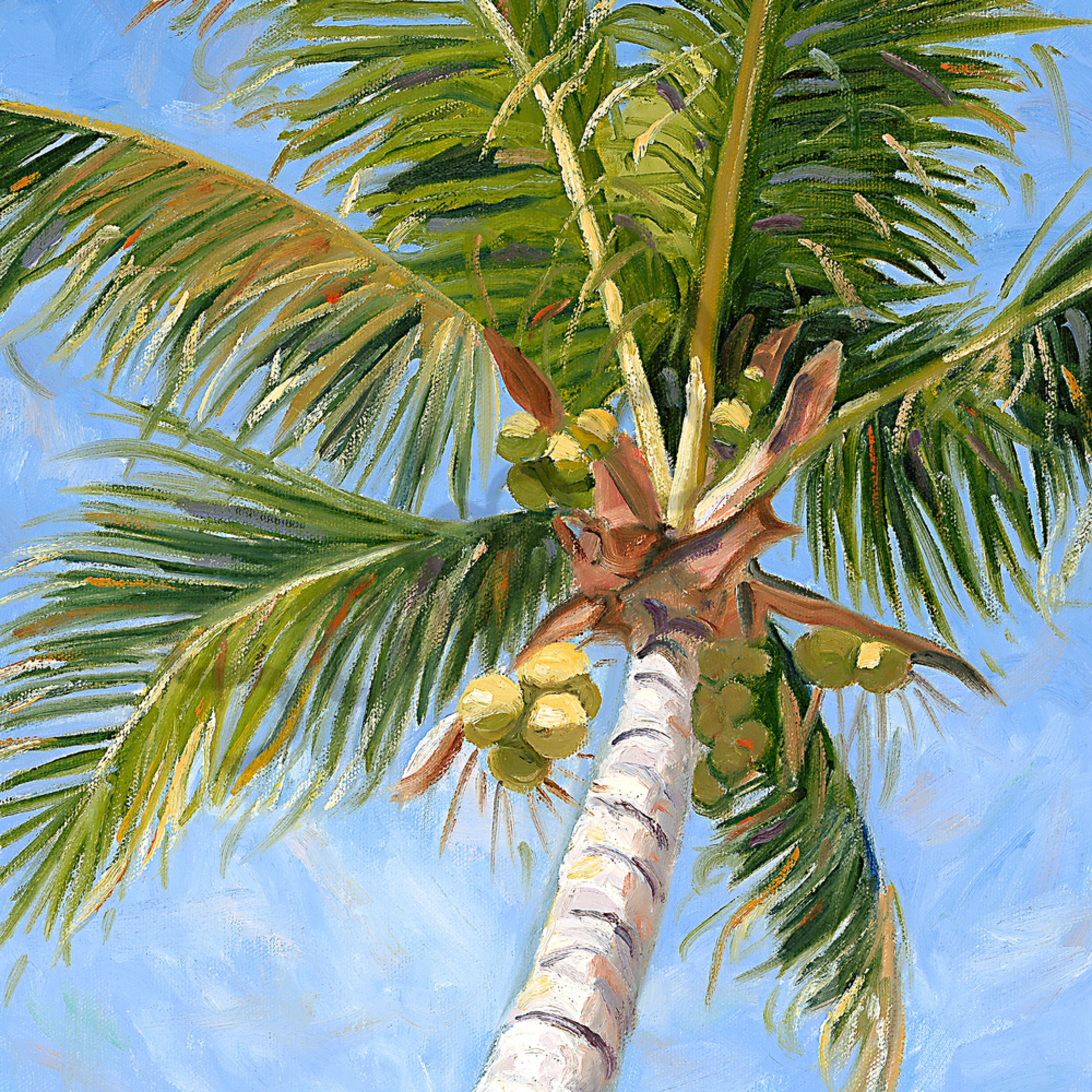 palm coconut tropical theme
