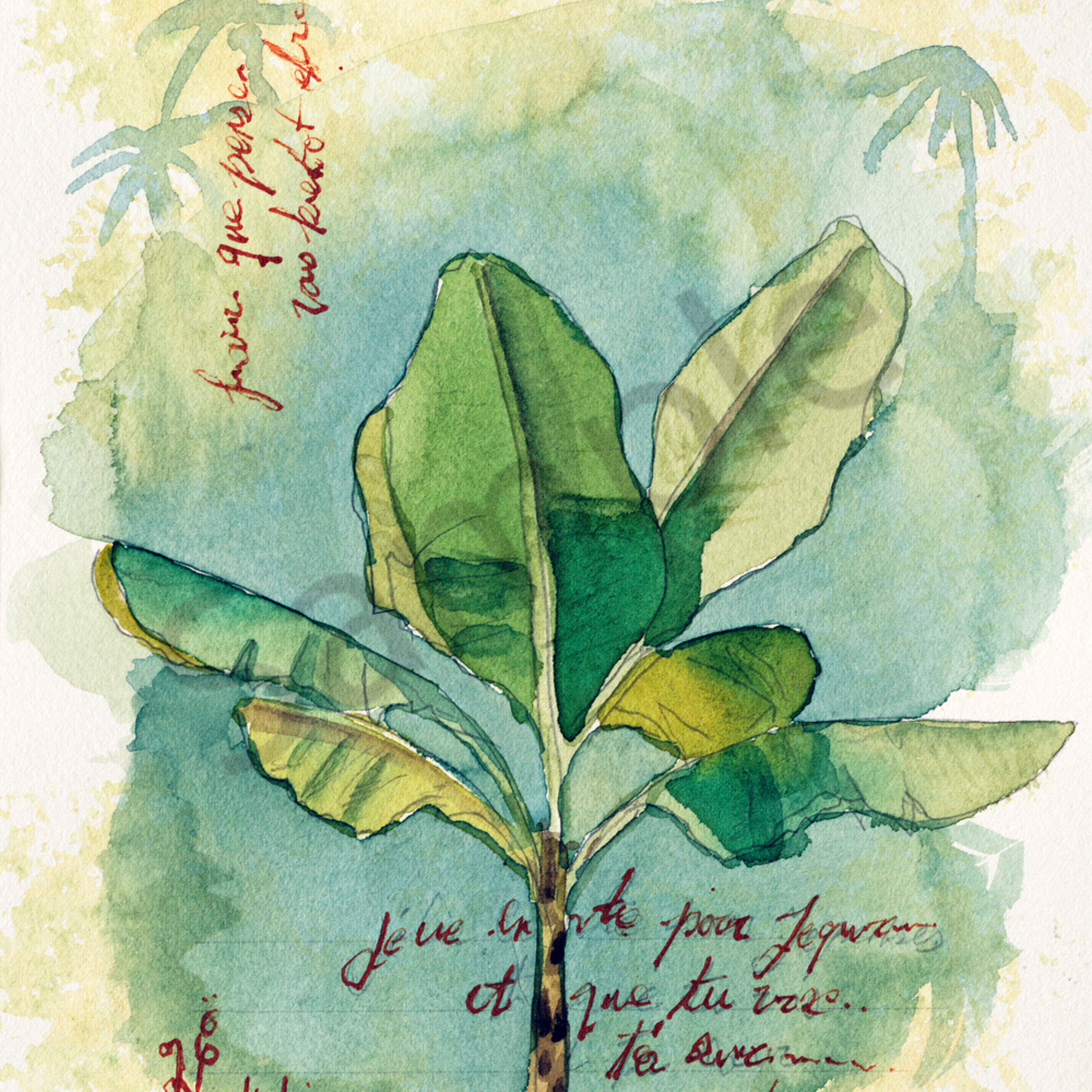 A Watercolor Painting Of A Banana Plant