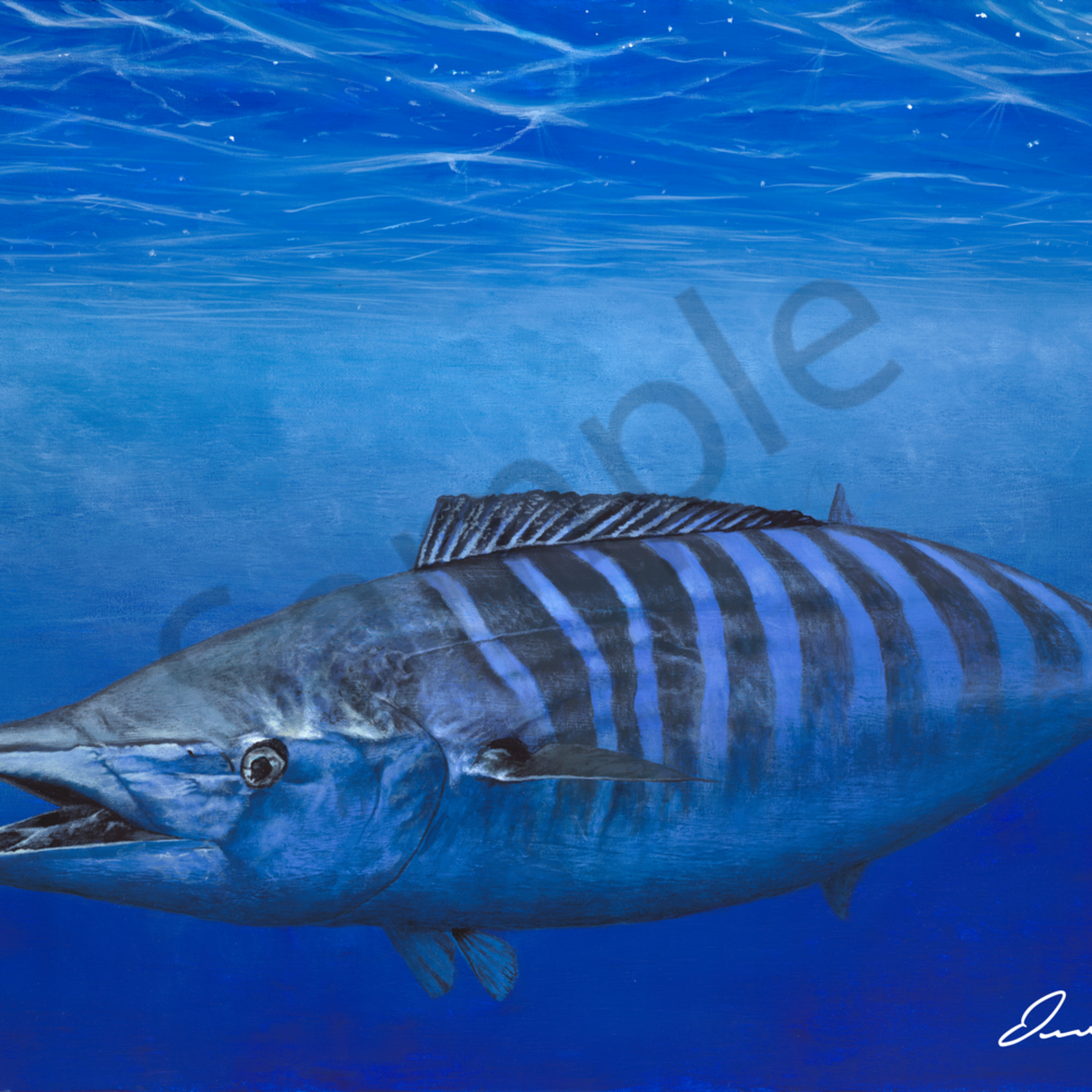Traditional Marine Life Paintings Sneaky Wahoo By Desmond Thain