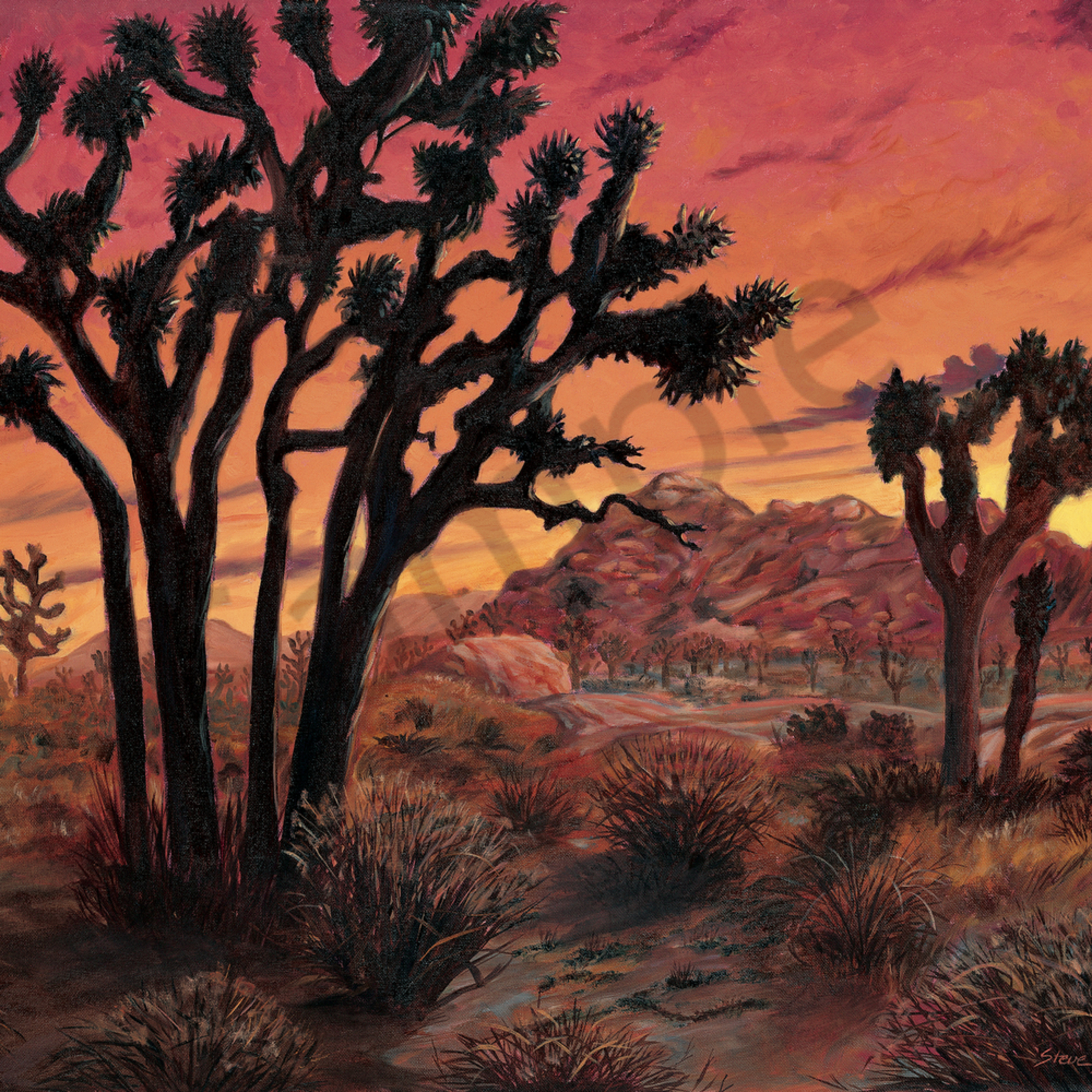Joshua Trees At Sunset