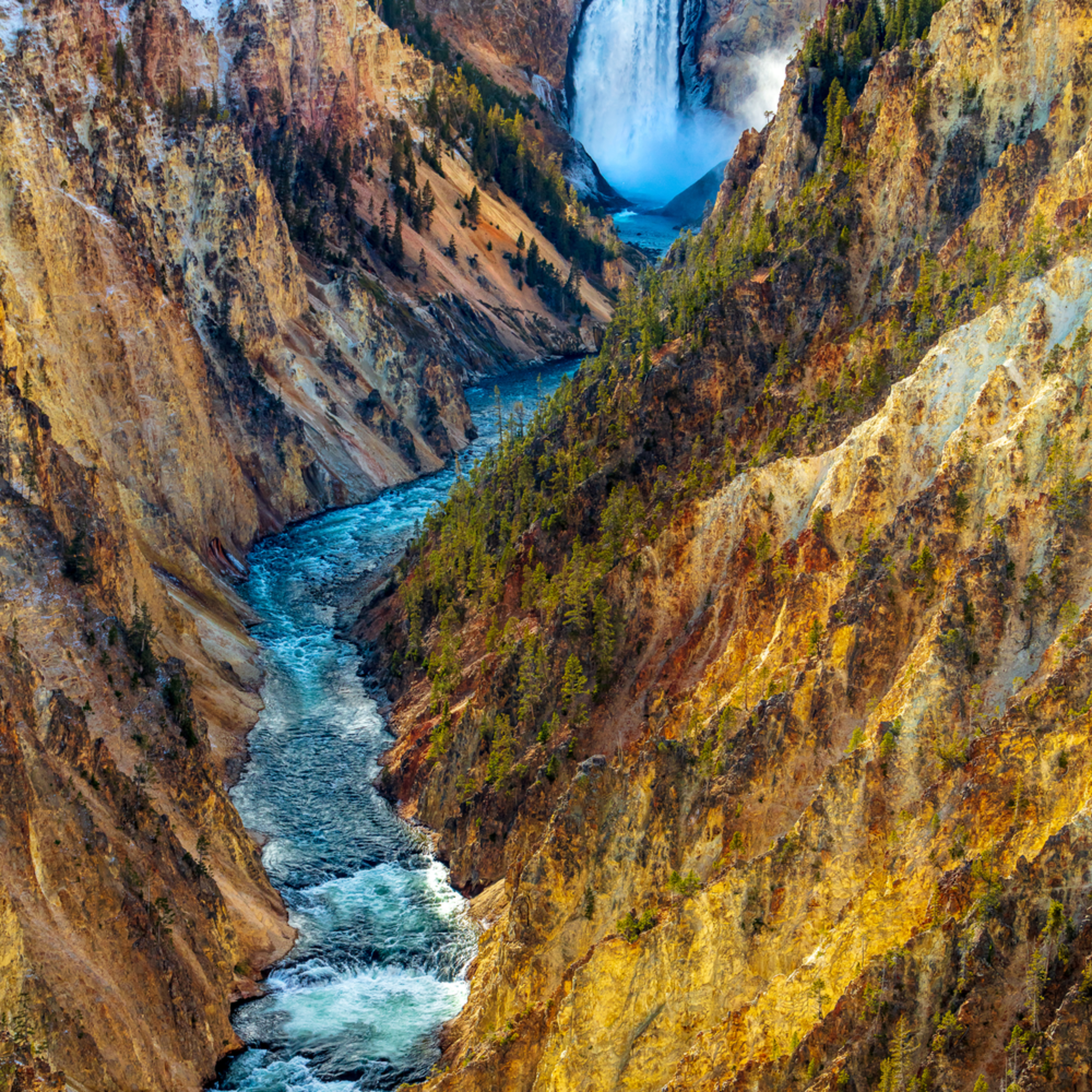 Artist Point Yellowstone National Park