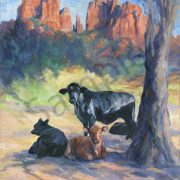 Three Cows Lounging
