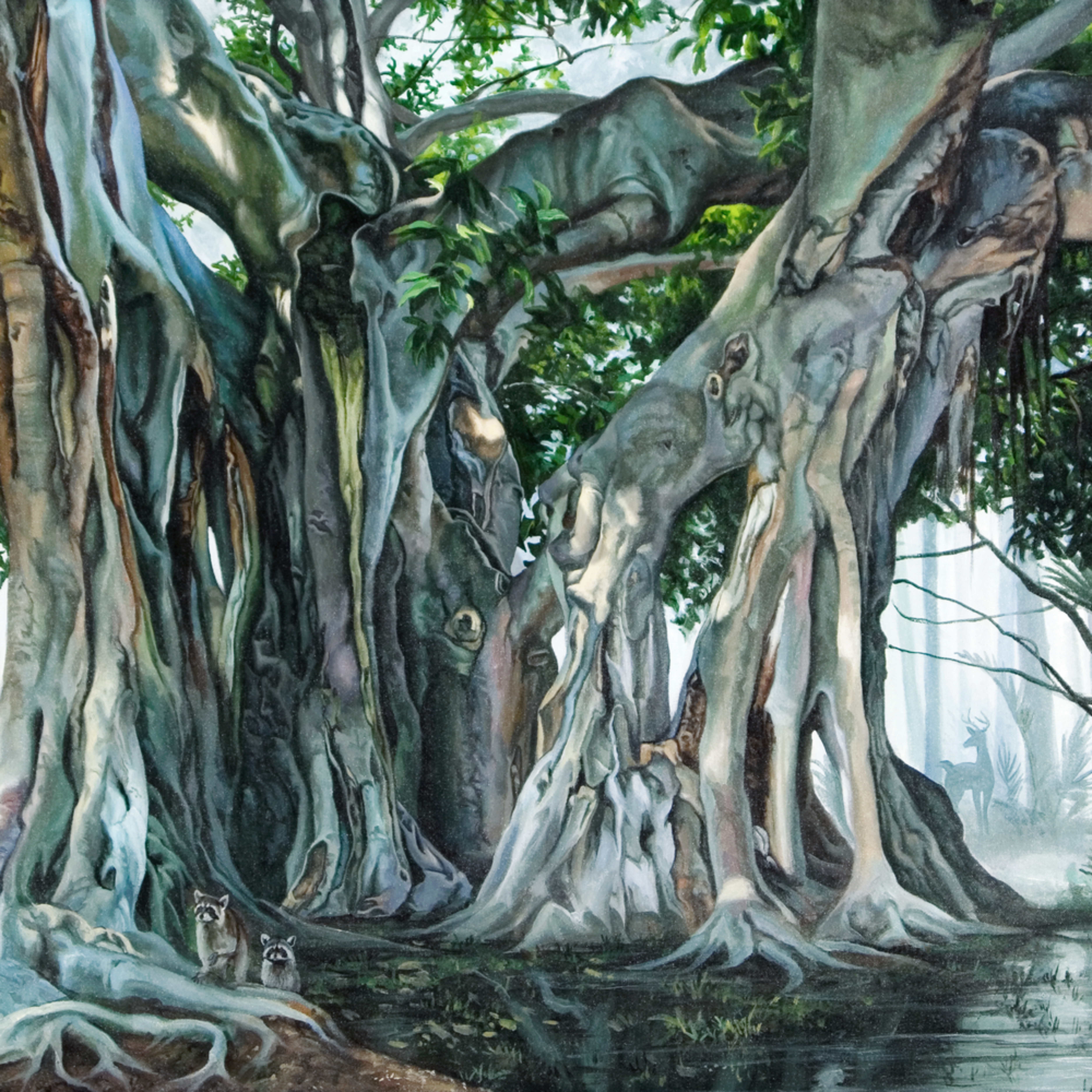 Lush Banyan Tropical Tree Print Kevin Grass Fine Art