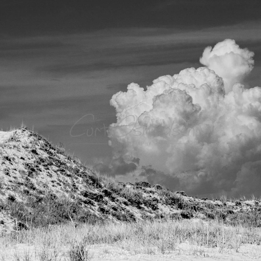 Florida dunes and clouds vg4uct