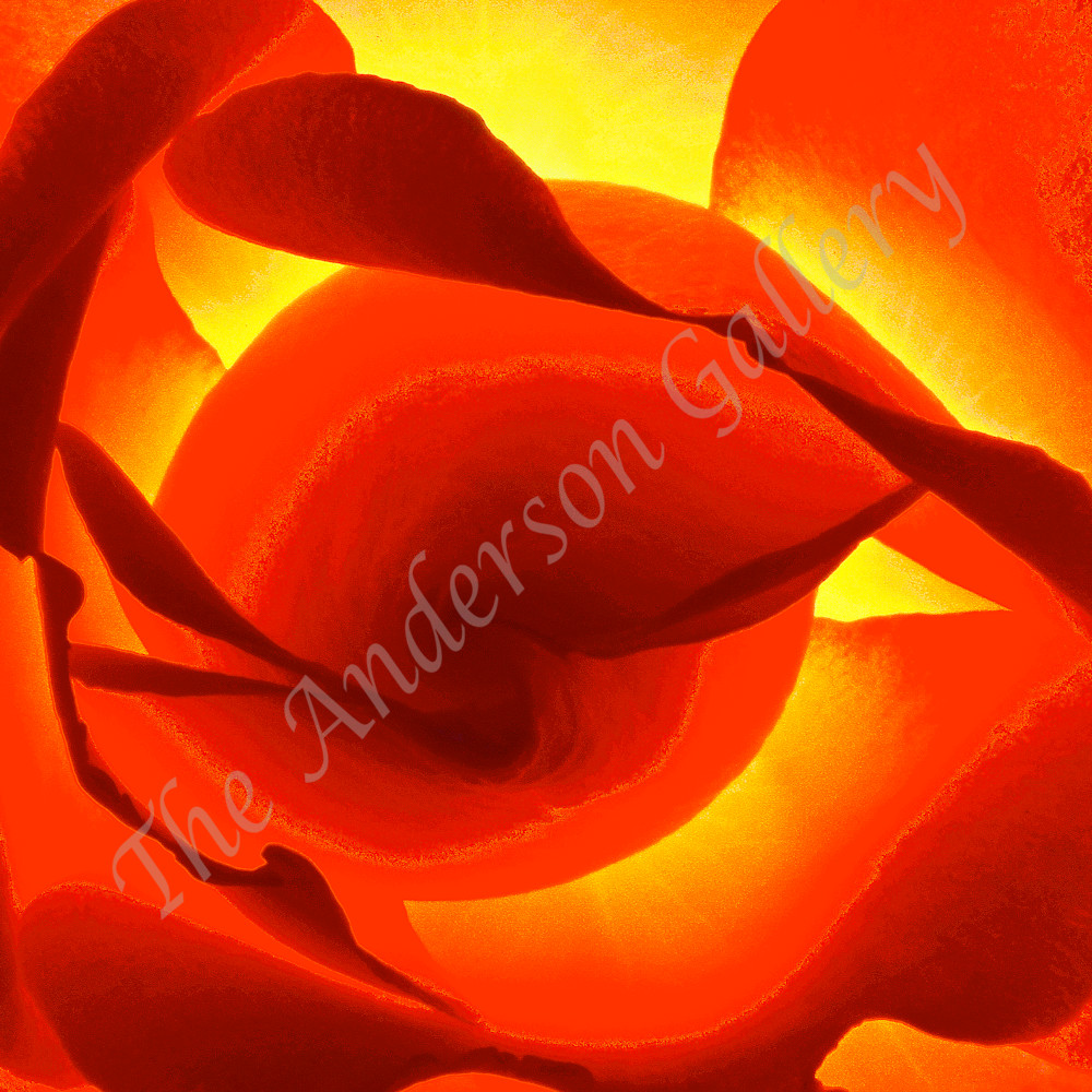  4 limitedflora pg1 fab fiery rose scan with mask master flattened sharpened cropped sized for asf f9sa07