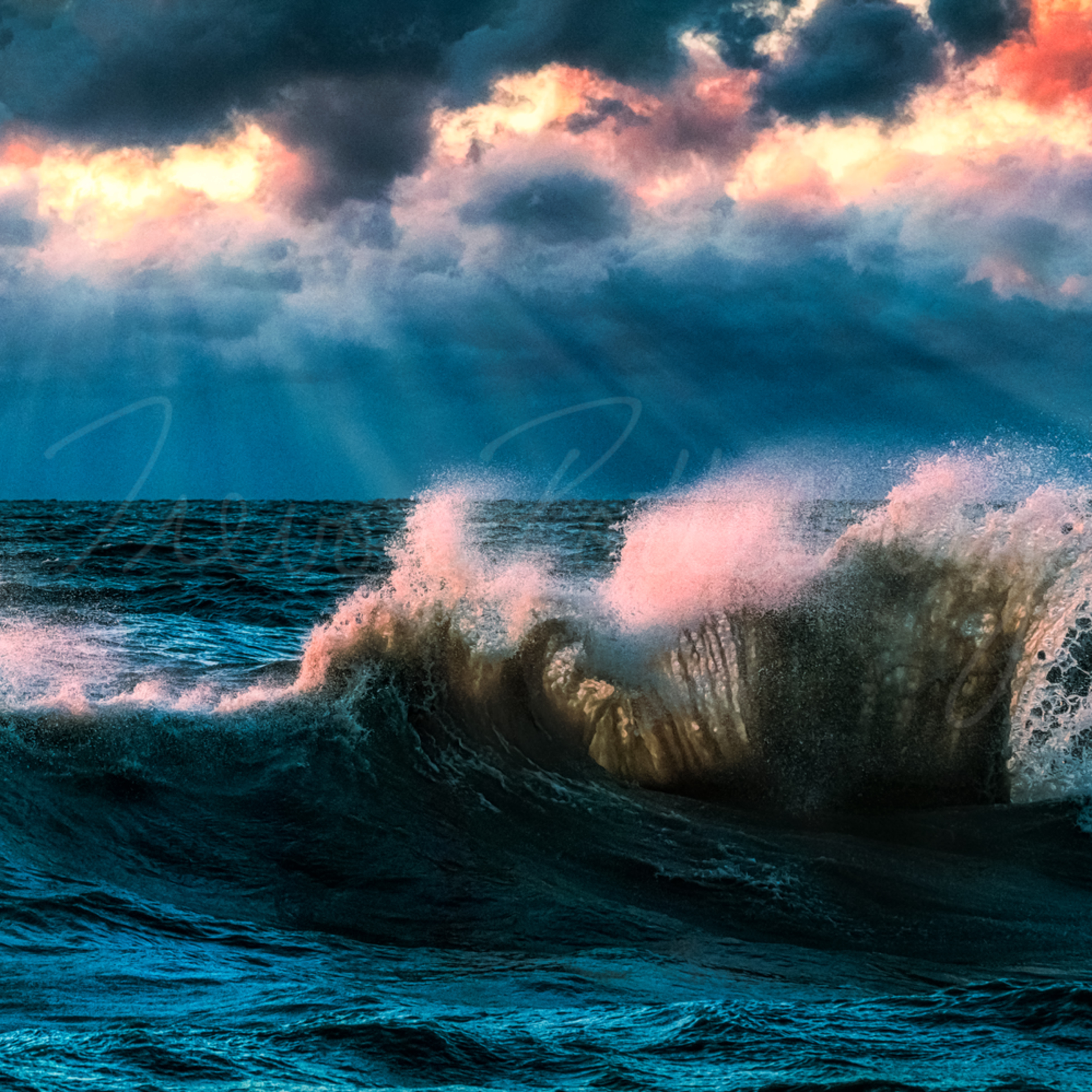 The Crown Jewel Photography Art Trevor Pottelberg Photography