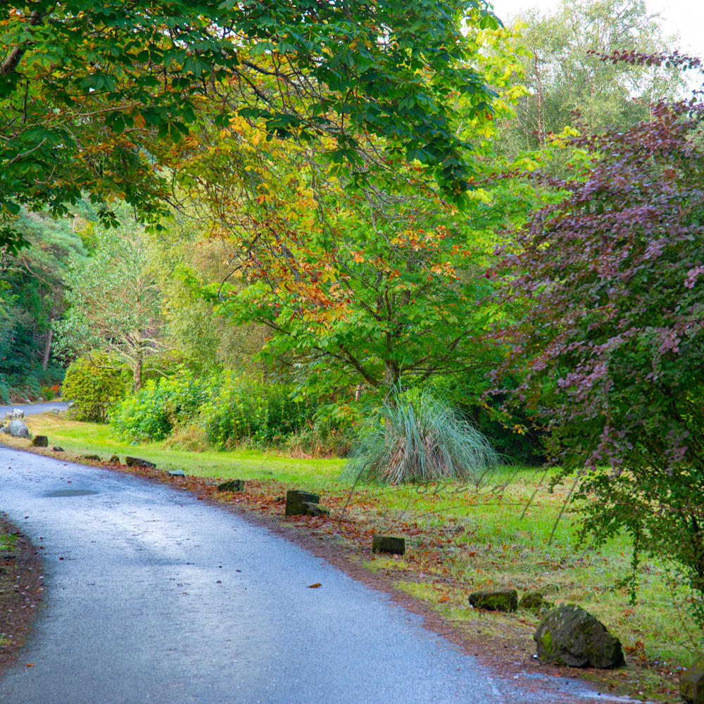 Scottish path flrkuh