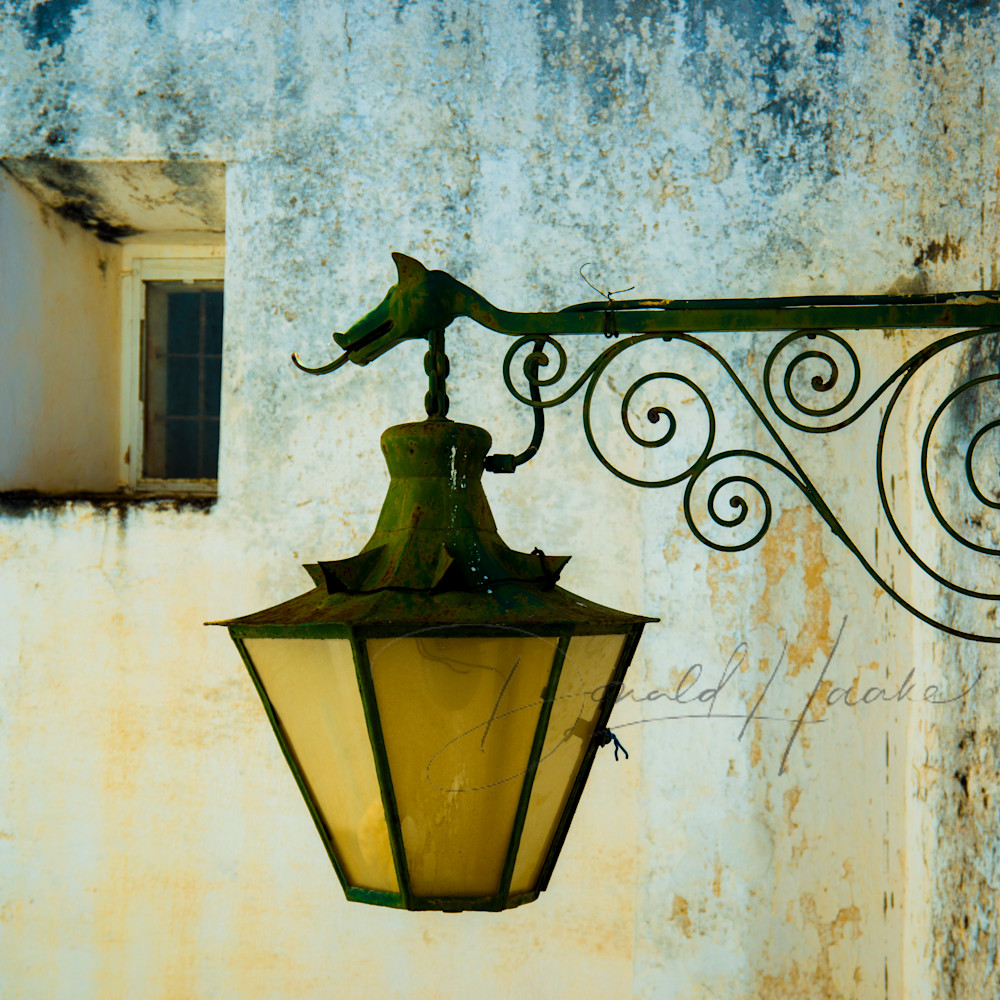 Portugese lantern eytzah