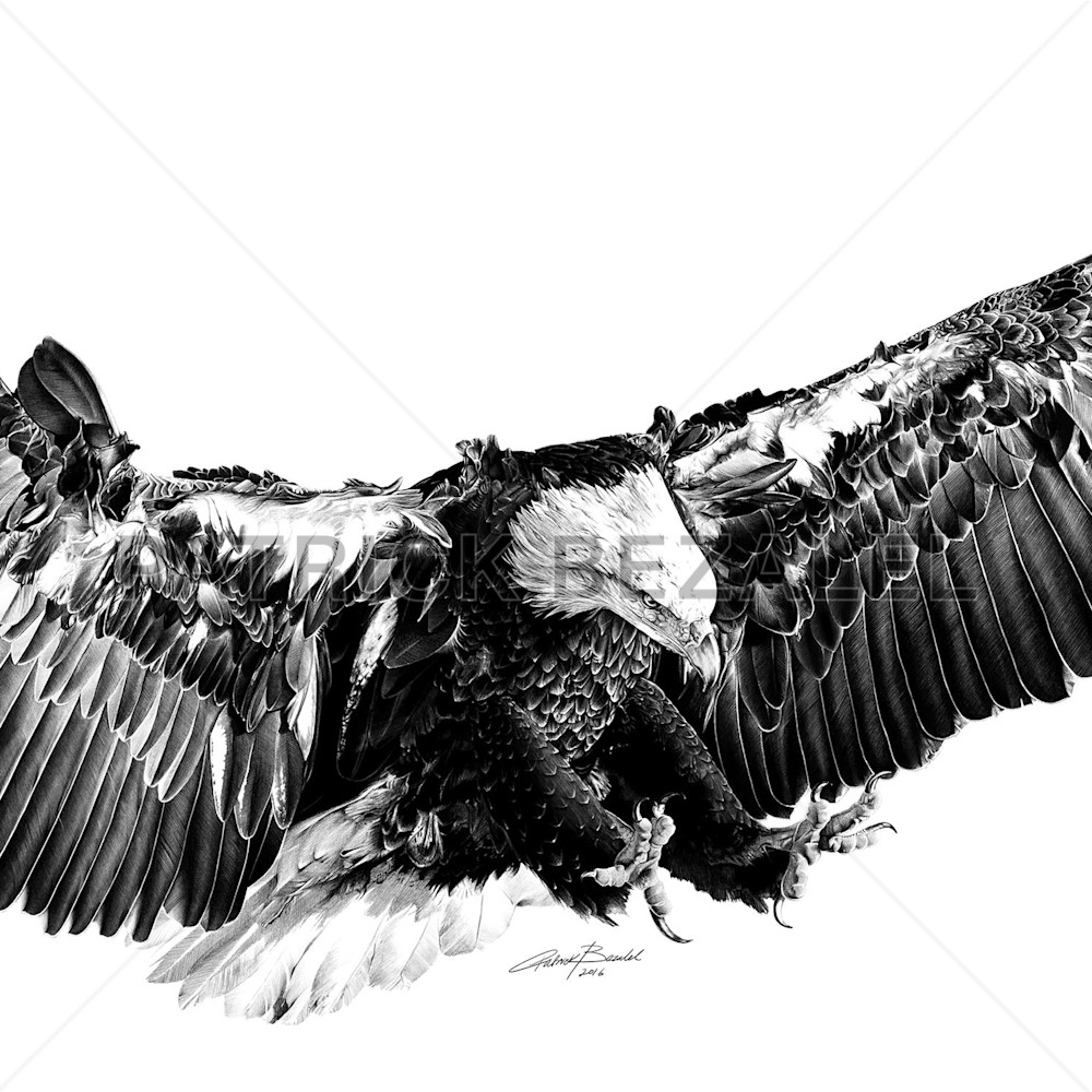 Eagle 2 from strength to strength 0.8x0.4m v low upv4y0