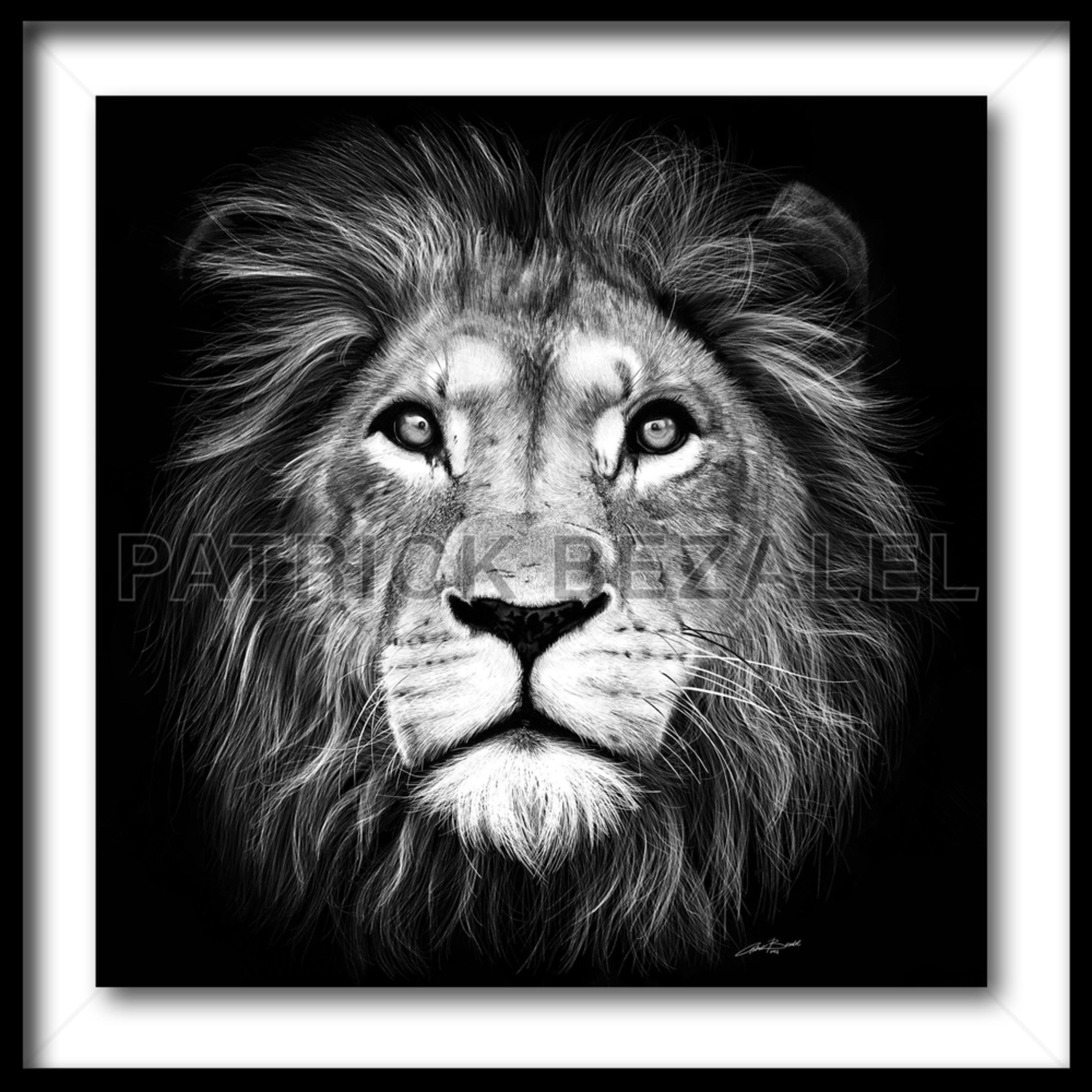 Lion Of Judah (Fine Art Print With Frame) Prices In Us Art Patrick