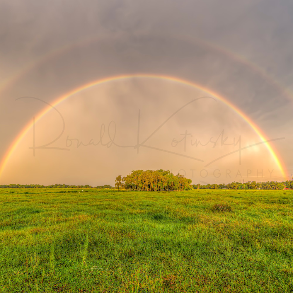 The Perfect Rainbow