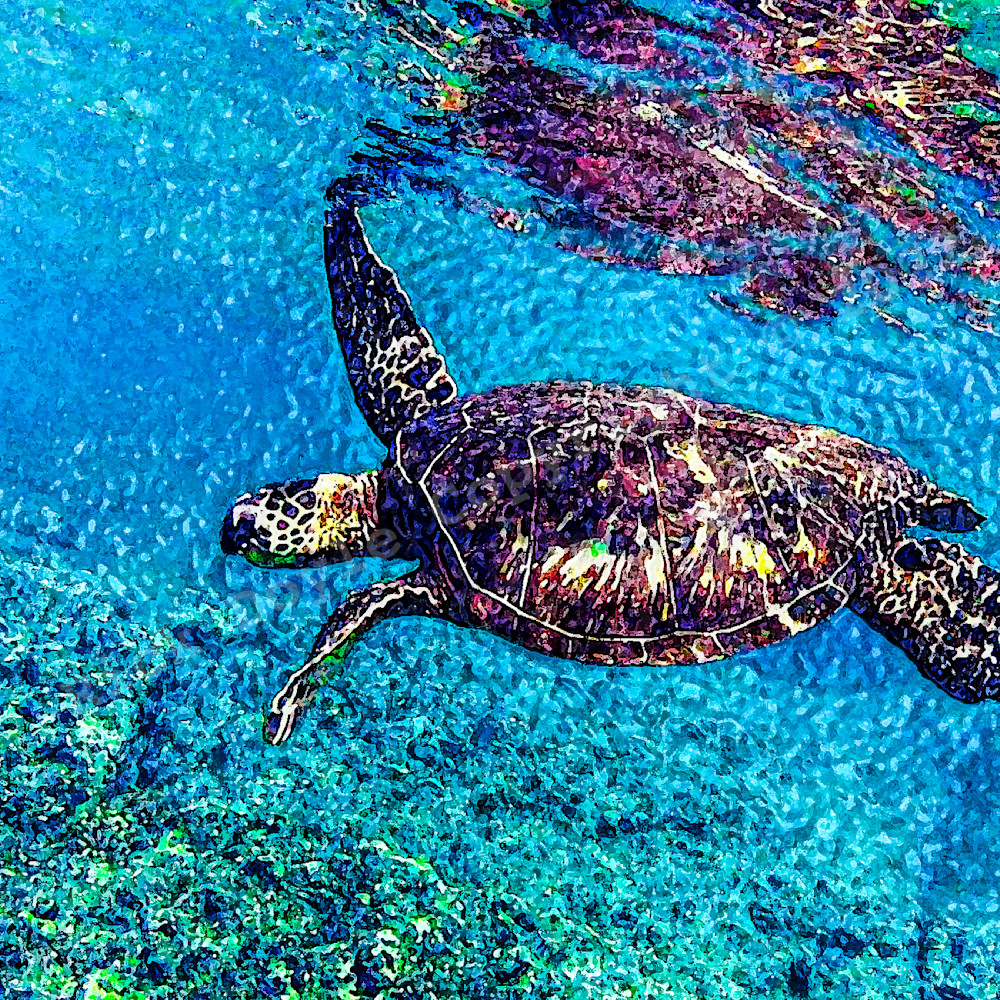 Sea turtle oahu hawaii 24x36 mkkjnl