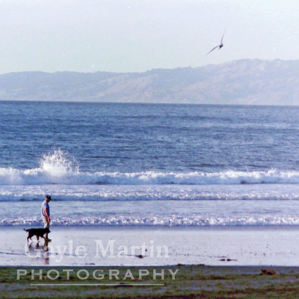 Man and dog on beach iohj6k