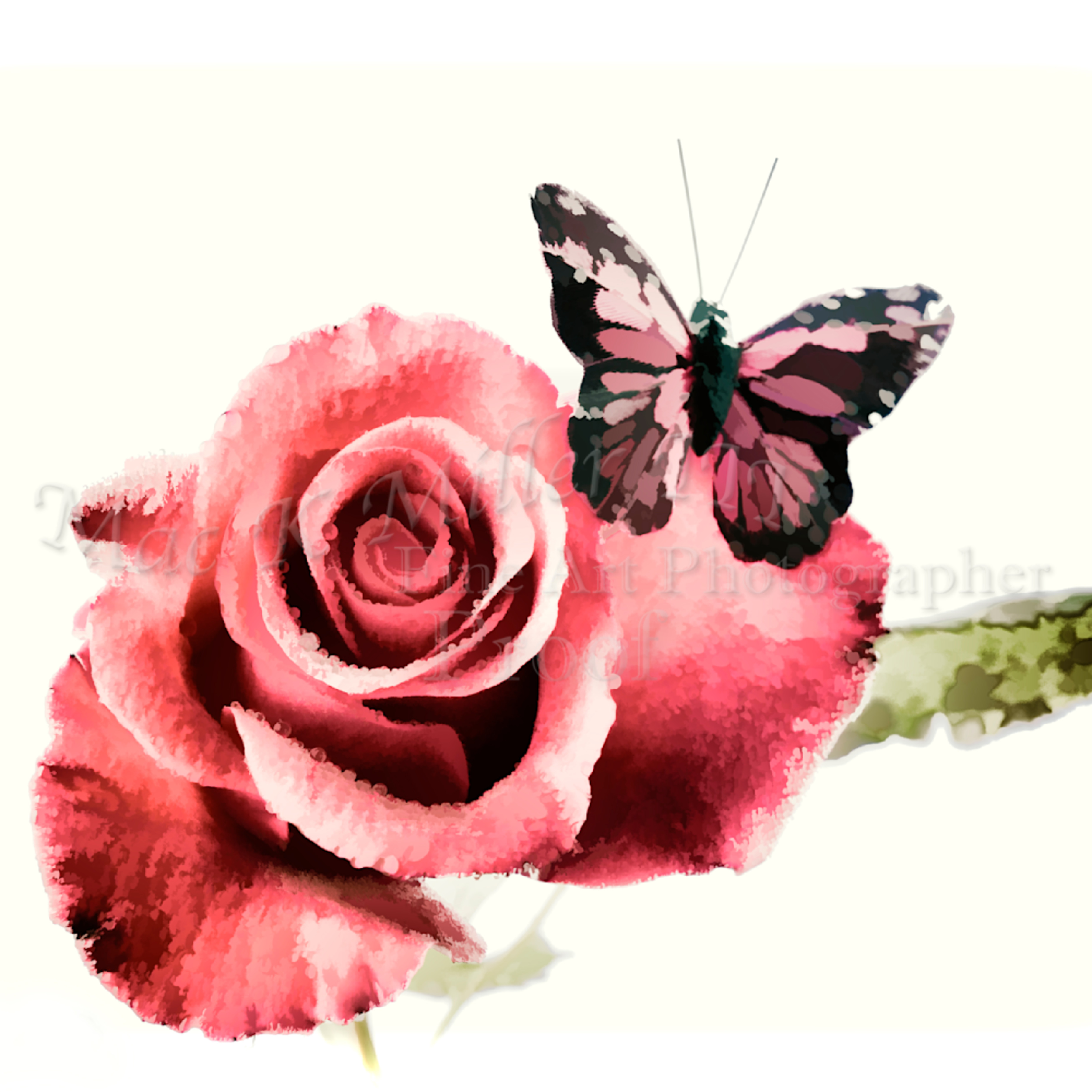 Butterfly Red Rose Image Painting 3184 02