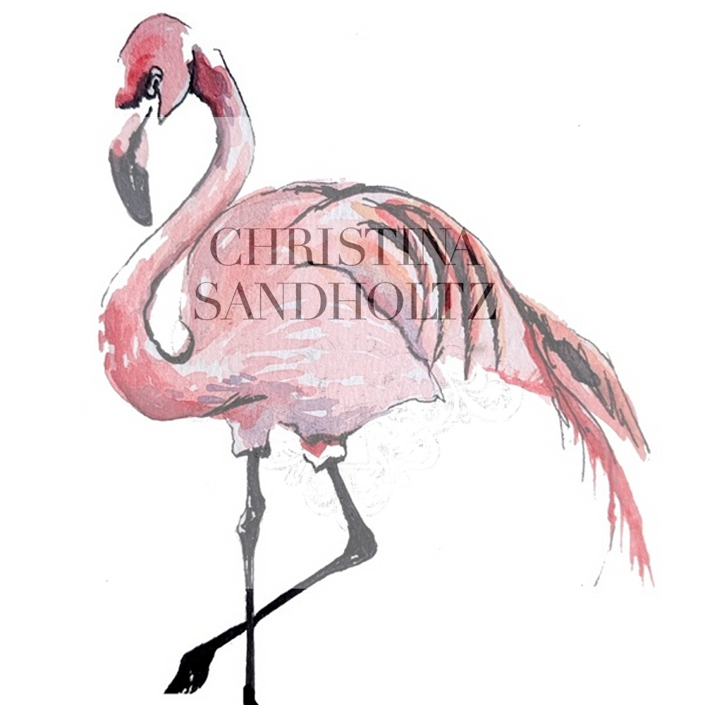 Flamingo nonziw