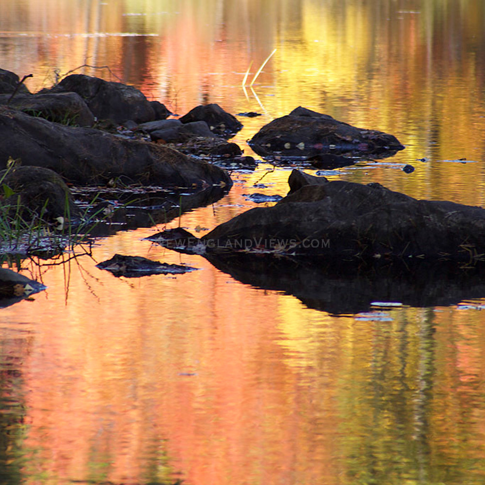 Fall colorful leaves foliage golden reflections.tiff ix5teg