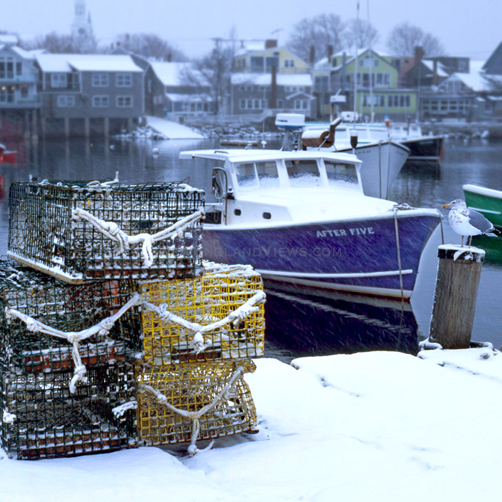 Lobstertrap snow seagull fishing boats rockport harbor wqqned