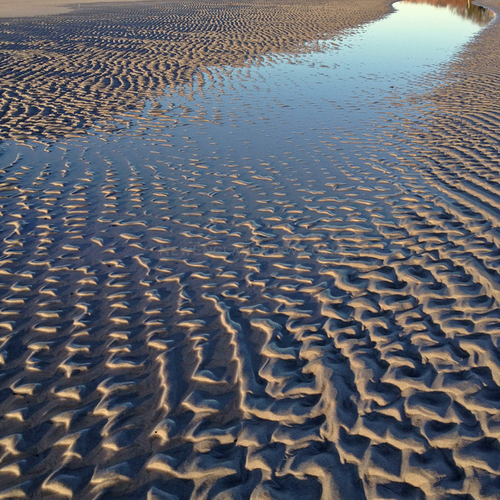 Sand ripples coffin s wingaersheek beach gloucester u0oy6y