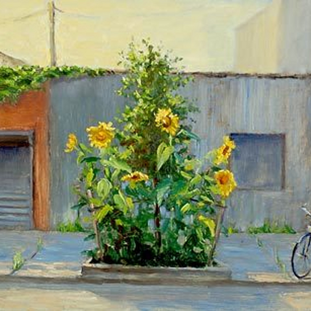 Sidewalk sunflowers gkuymr