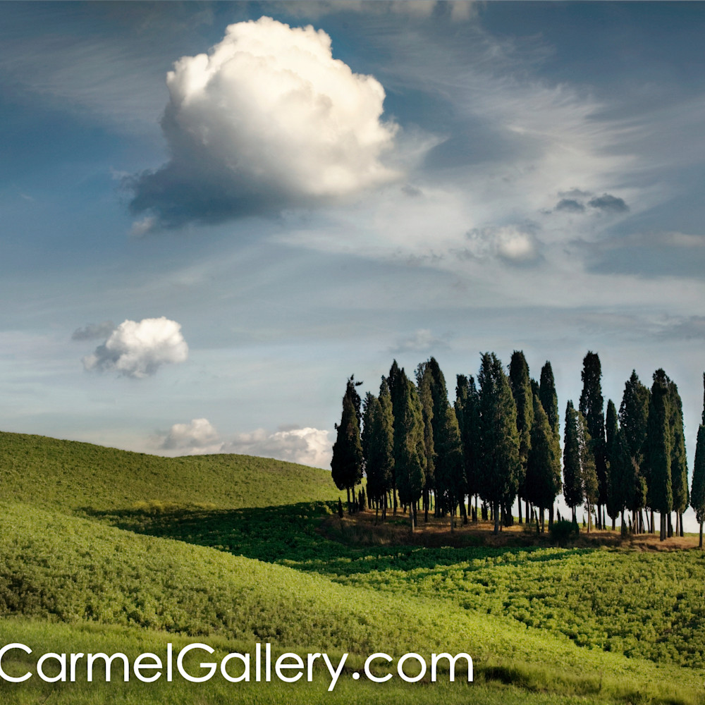 Cypress grove tuscany irm4r6