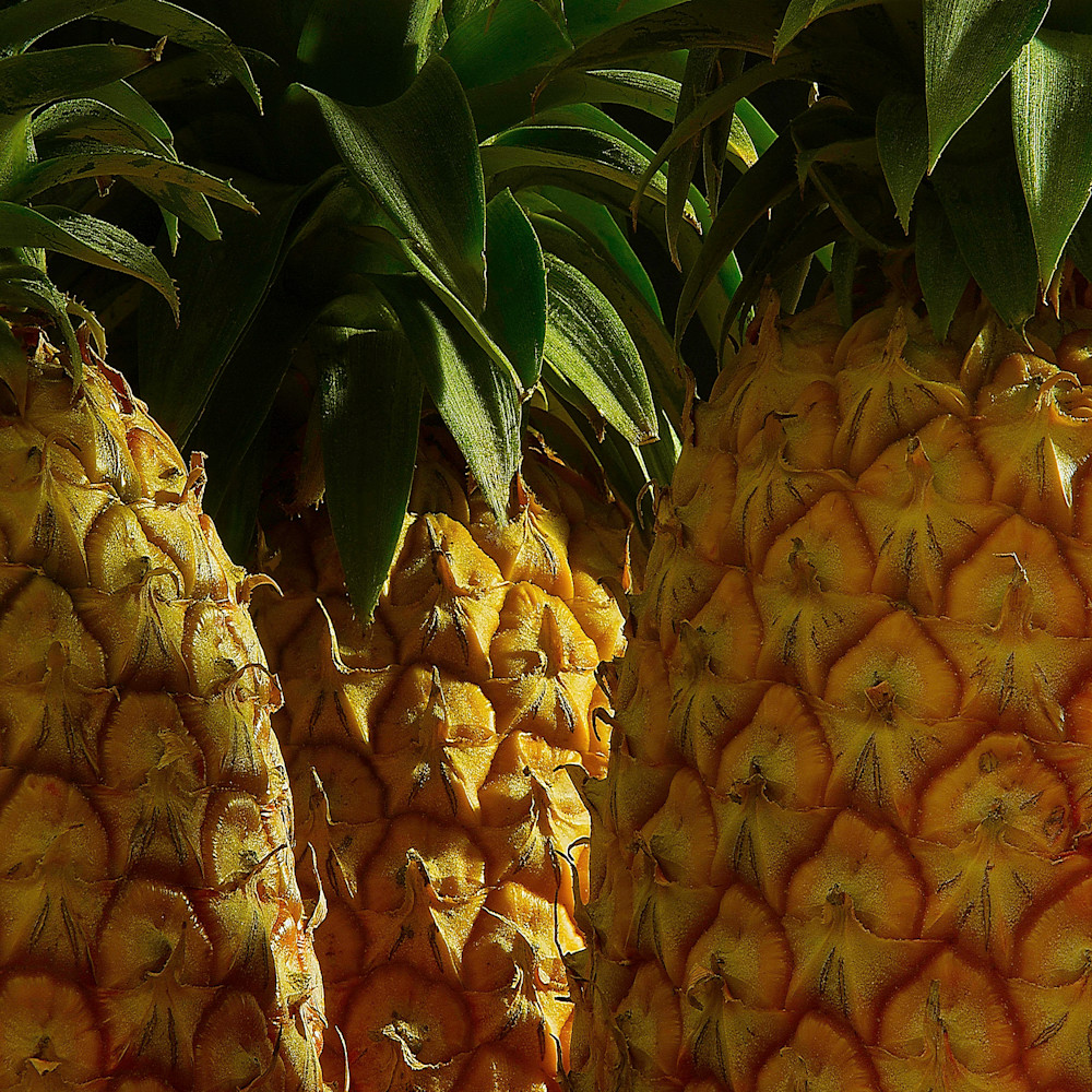 Pineapples qvdlgm
