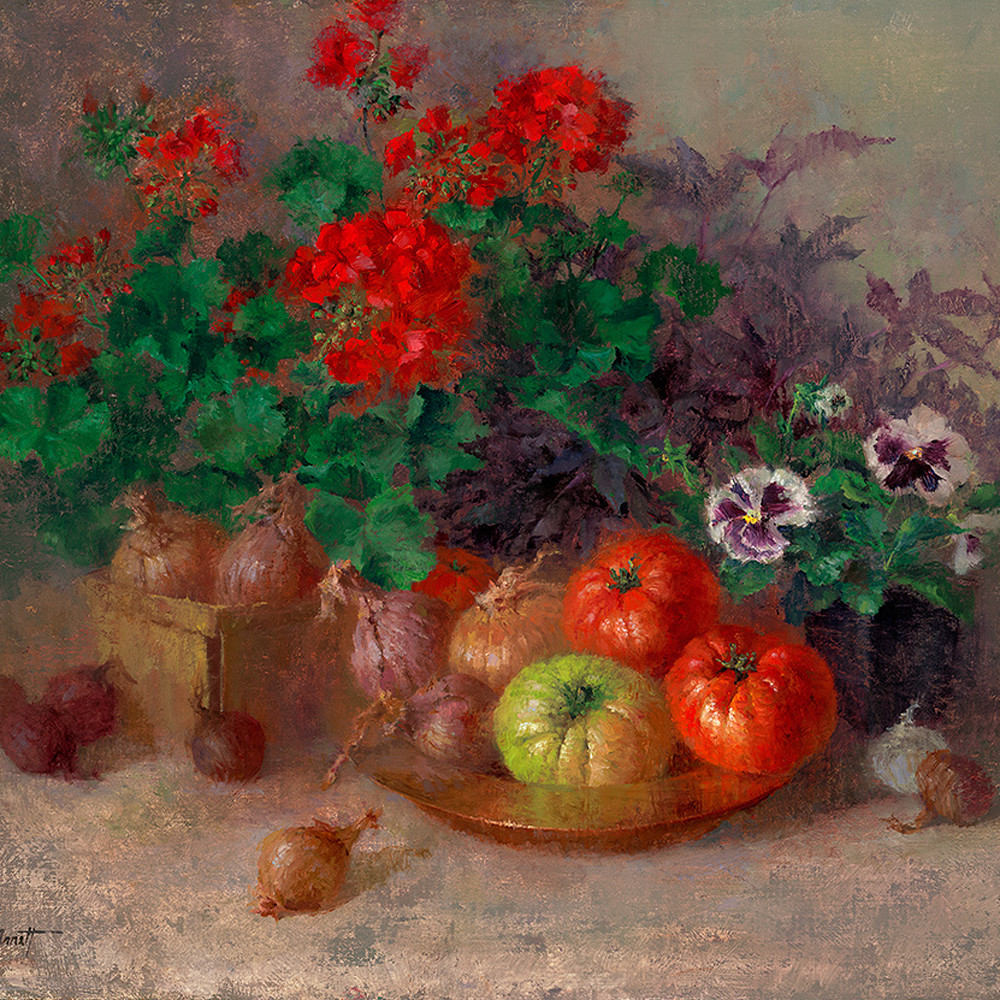 Heirloom tomatoes and geraniums gmf84o