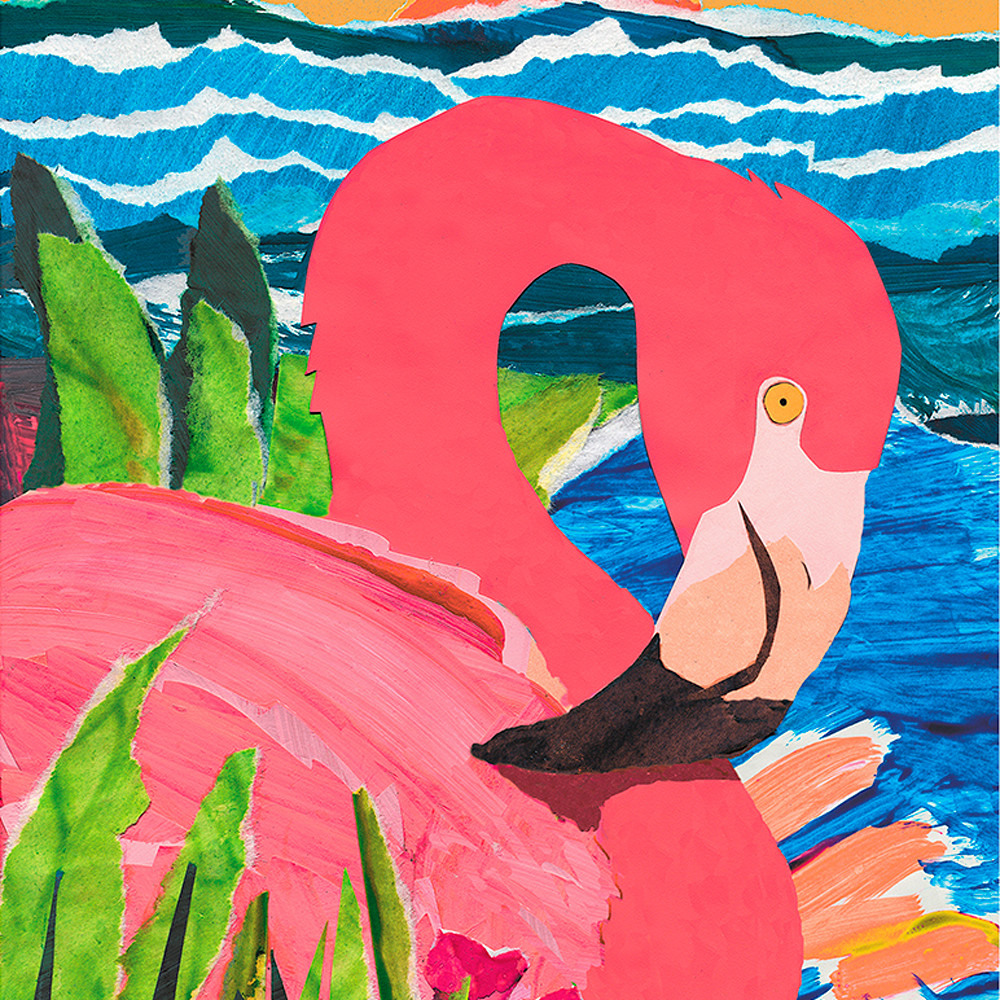 011 flamingo kwjuys