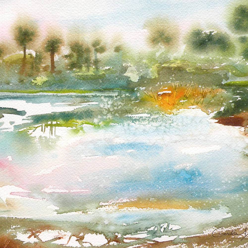 Colors of florida 10 x14 wclr h8obkf