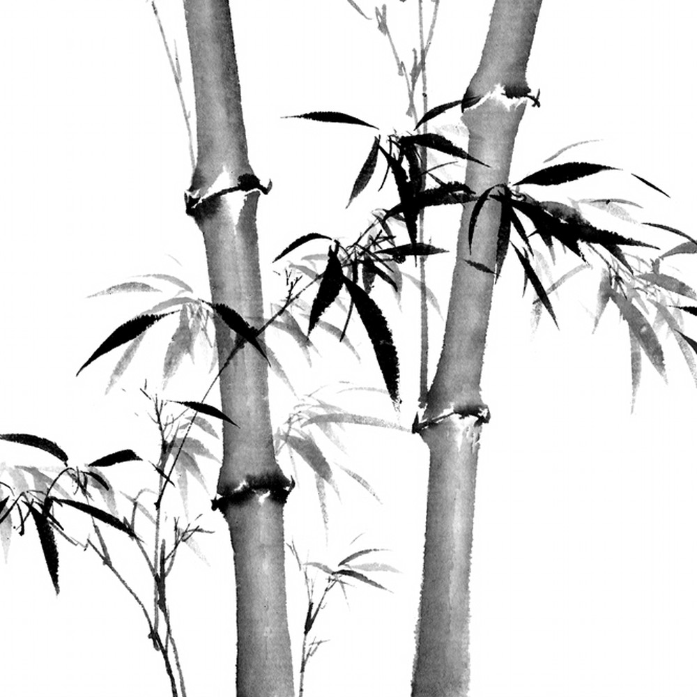 Bamboo 003 kdsvzu