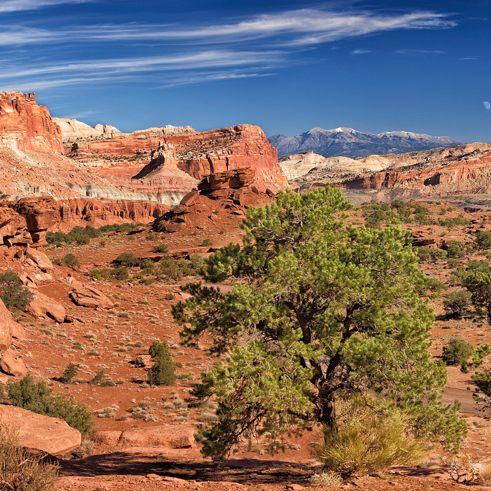 outdoor research panorama point