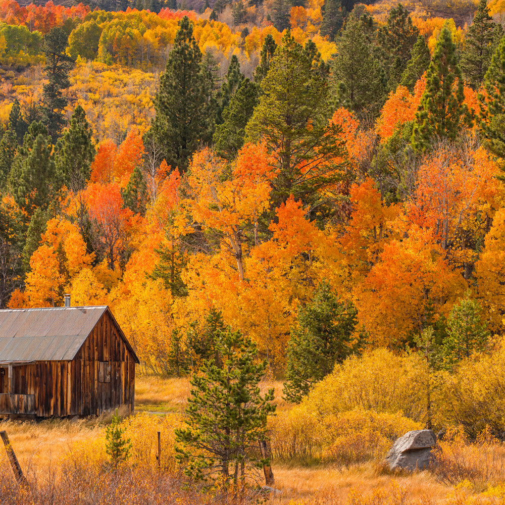 Hope Valley Fall Colors 2022