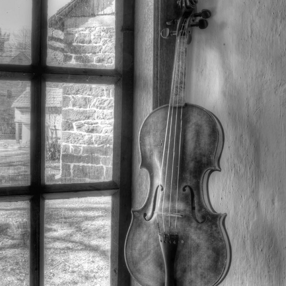 Violin still life ii wcvdq1
