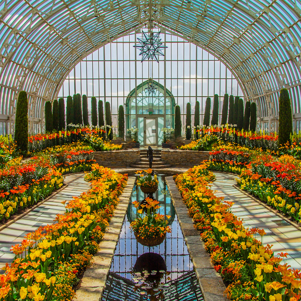Beautiful Flowers Conservatory Flower Art William Drew