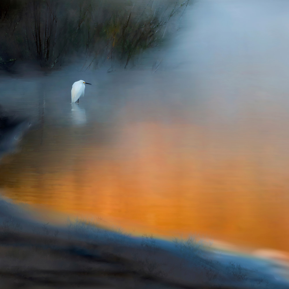 Egret on foggy lake oft867