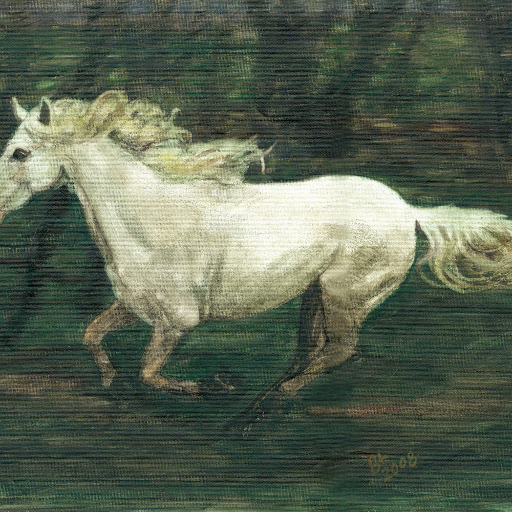 Horse galloping by aomqql