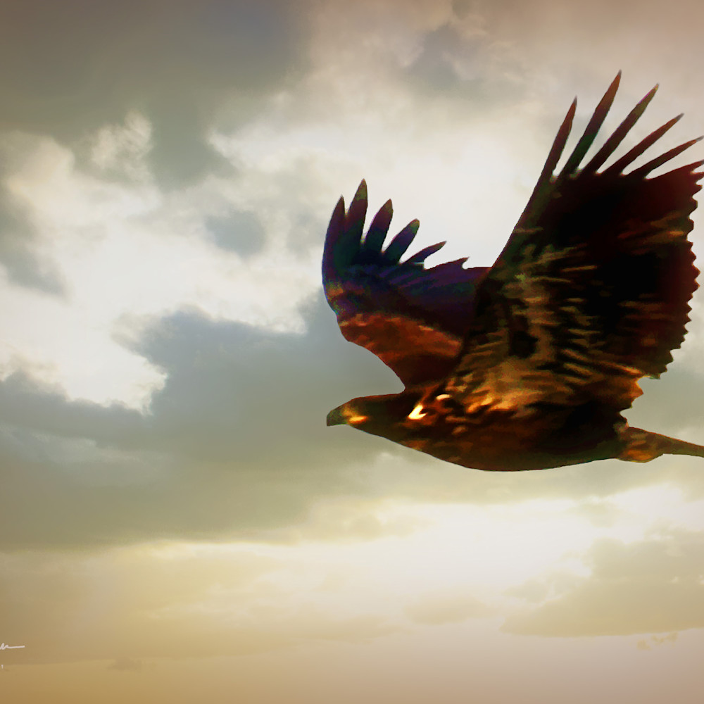 Flight of the hawk alt1uw
