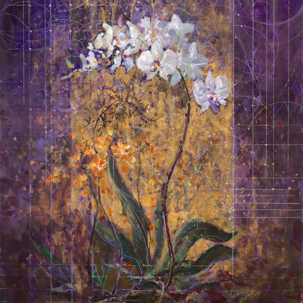 Creation of the orchids mwgi72