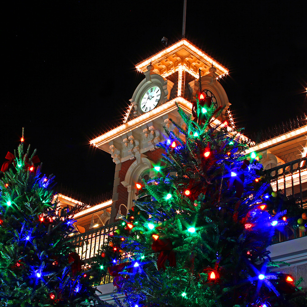 Magic Kingdom Christmas Trees Disney Christmas Photos
