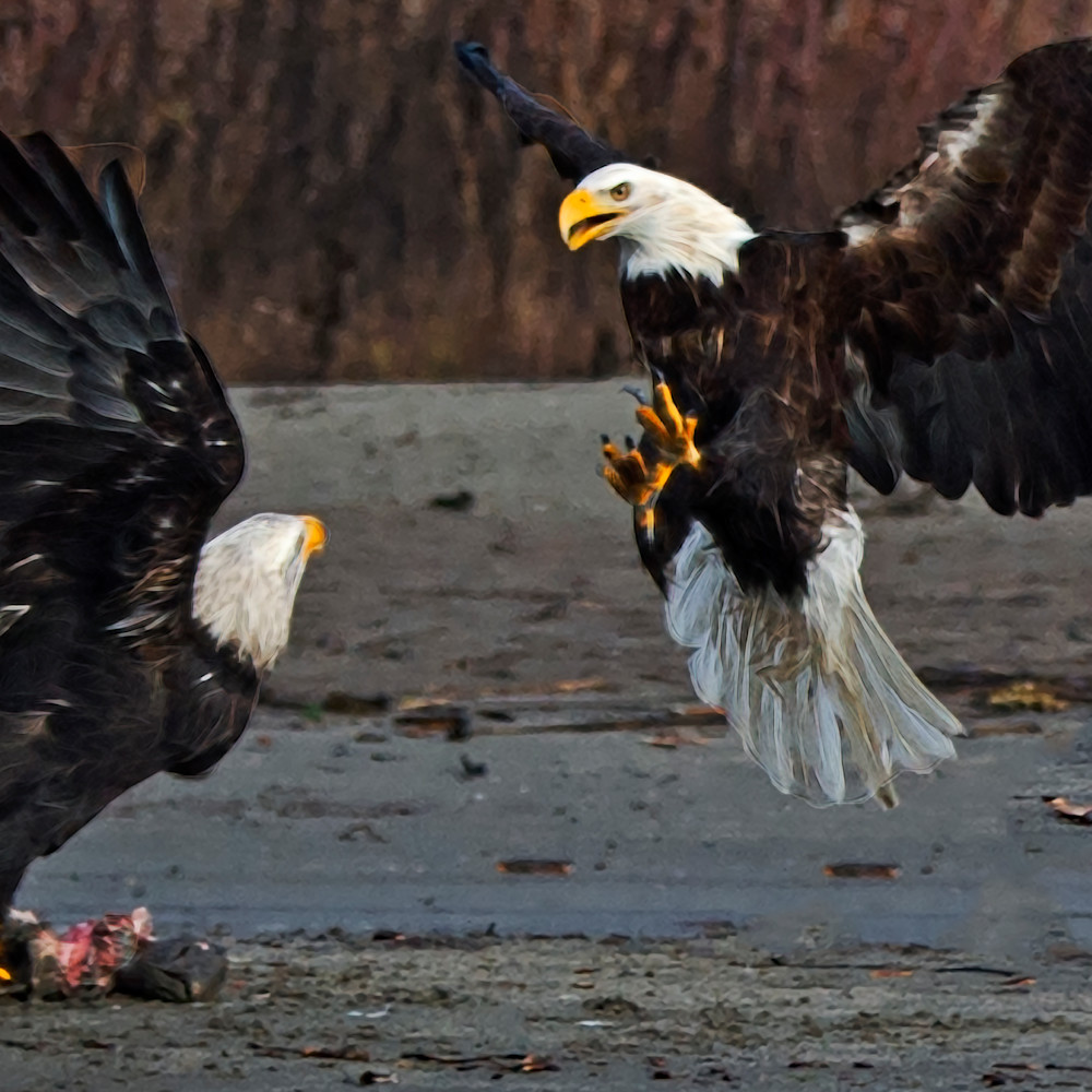 Fighting eagles krjfpm