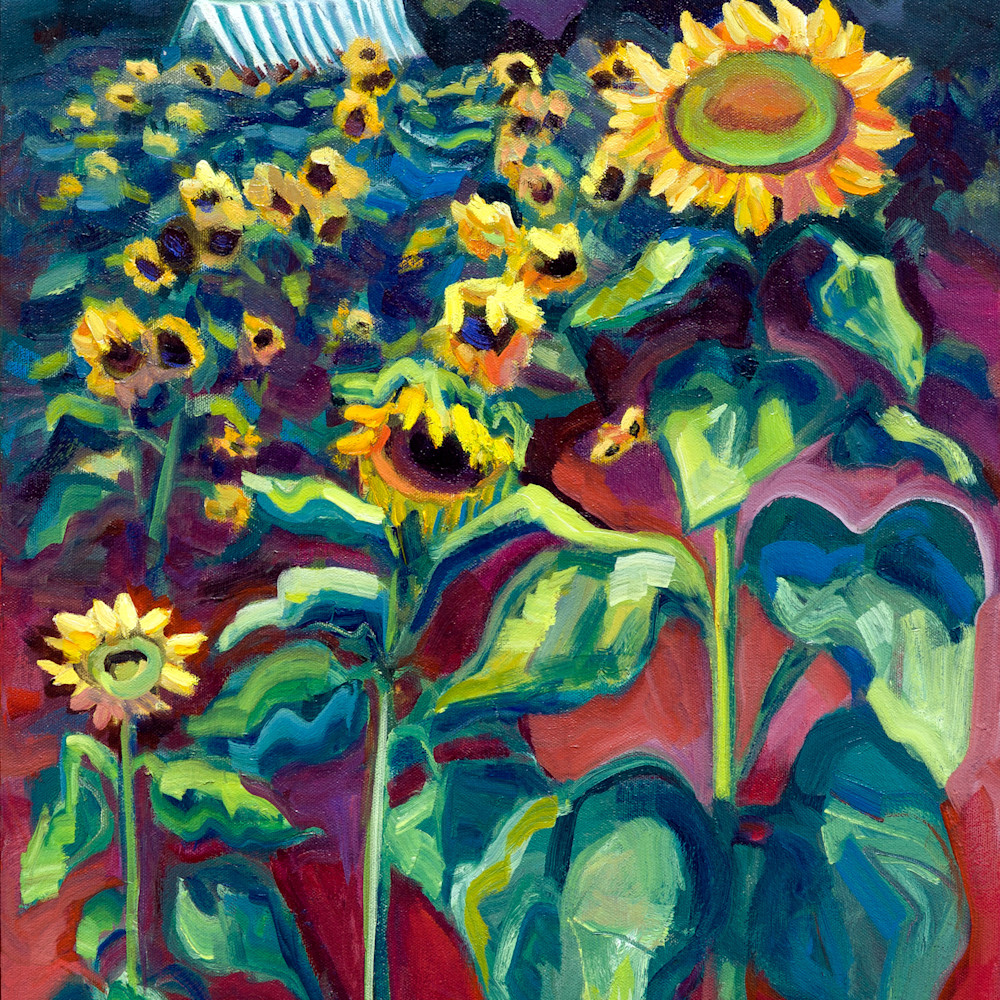 Sunflower farm 3 sunny fields jp 7 rmztqm