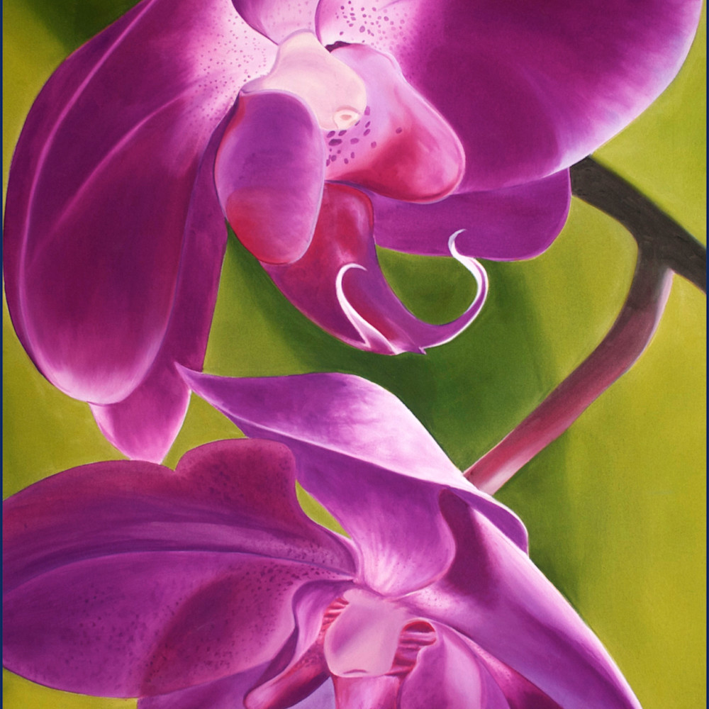  purple orchids jbdyio