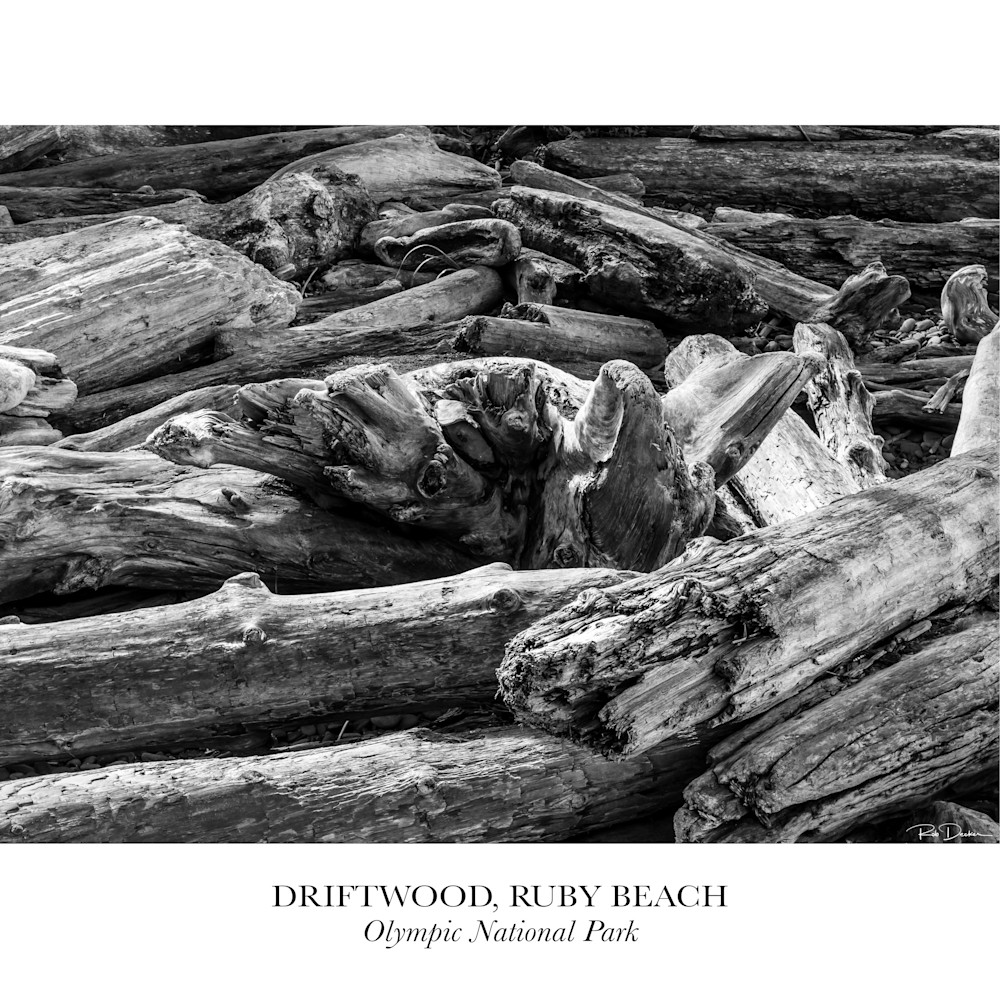 Driftwood ruby beach   olympic national park vsvyy6