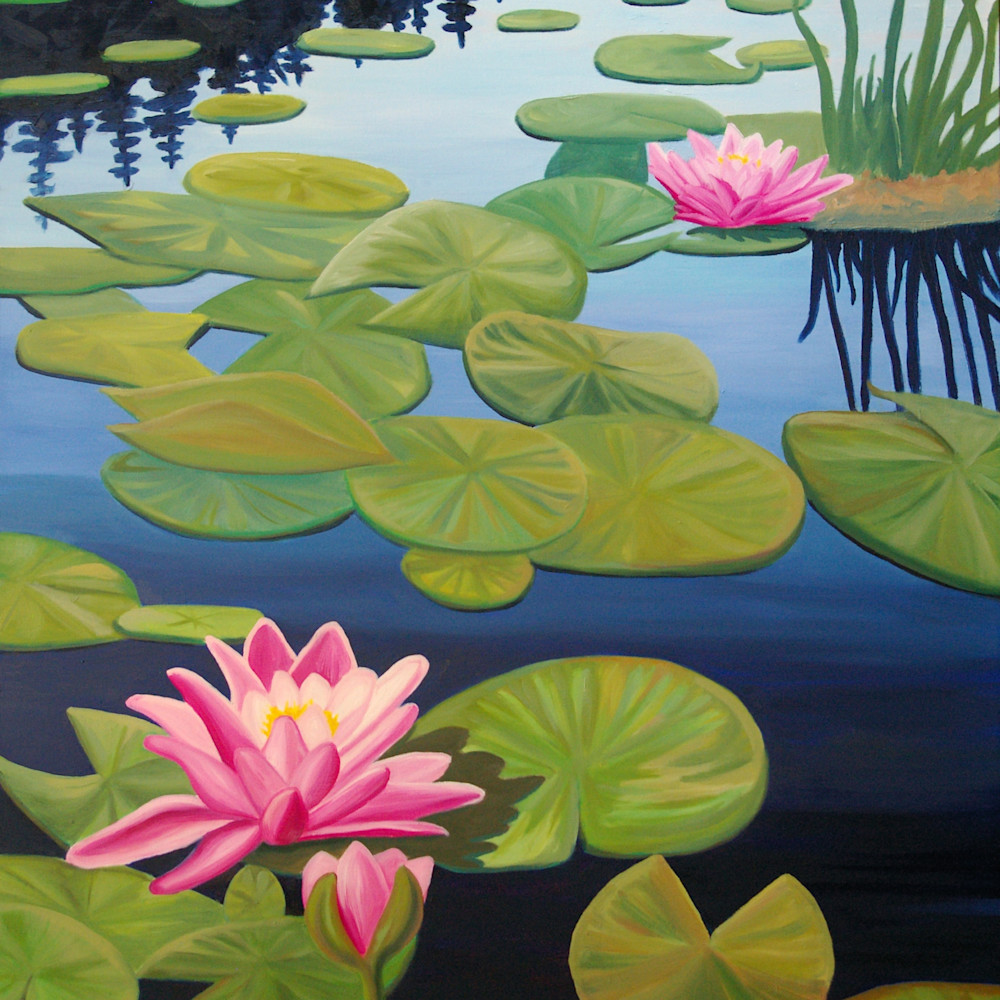 Water lilies tranquility phjhcn