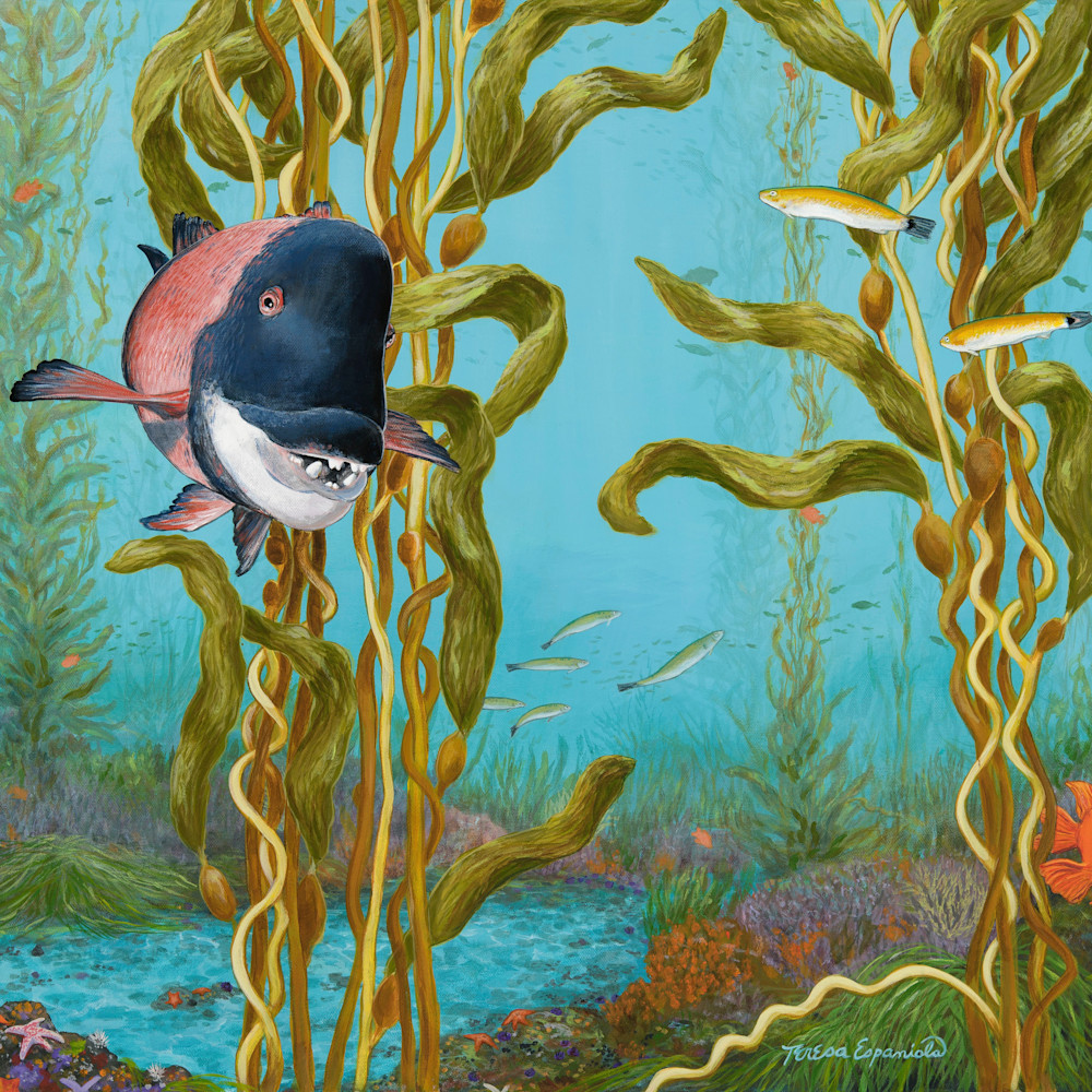 A swim in the kelp beds u8zvuq